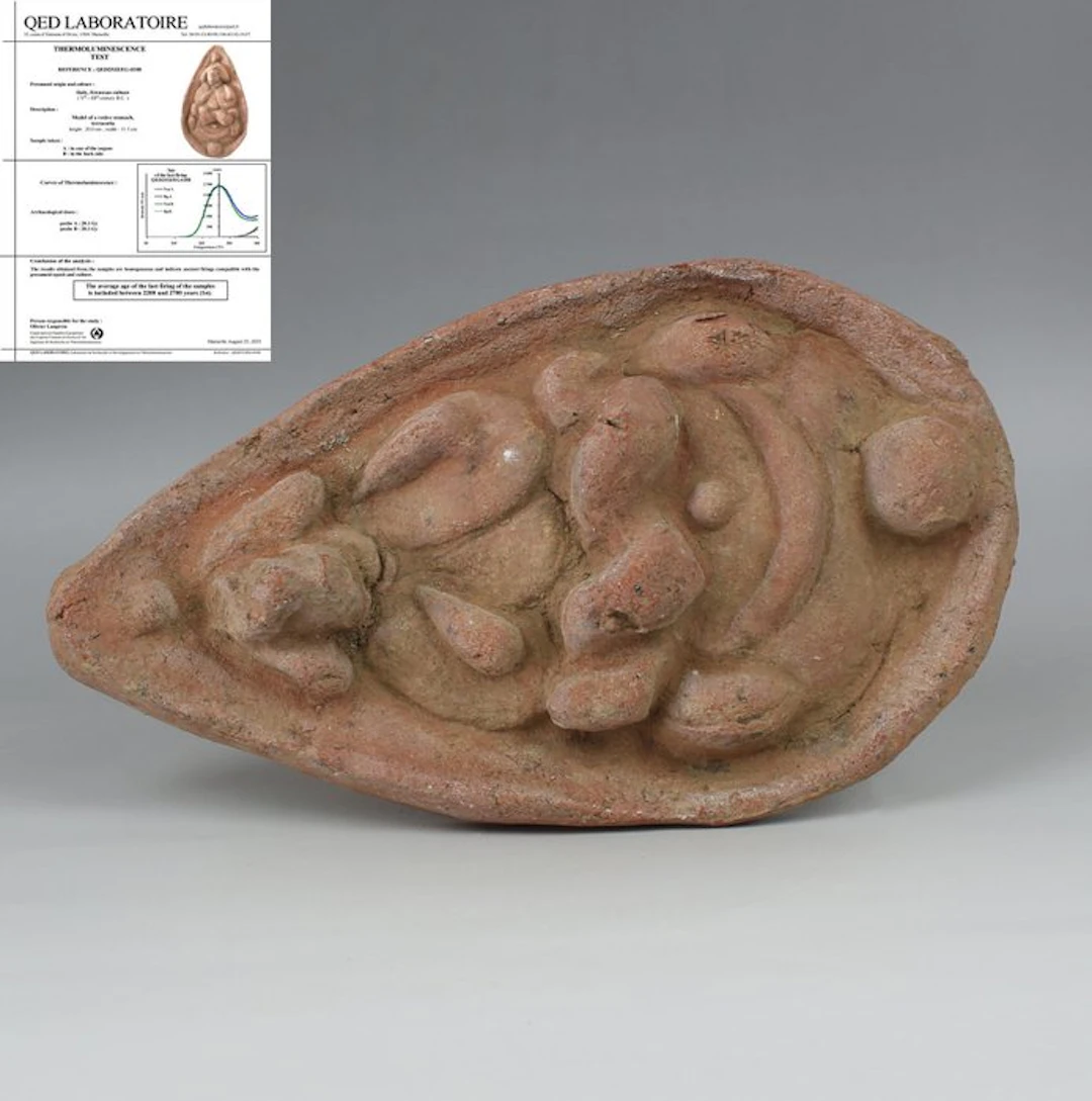 Etruscan Pottery Anatomical votive model of a stomach...