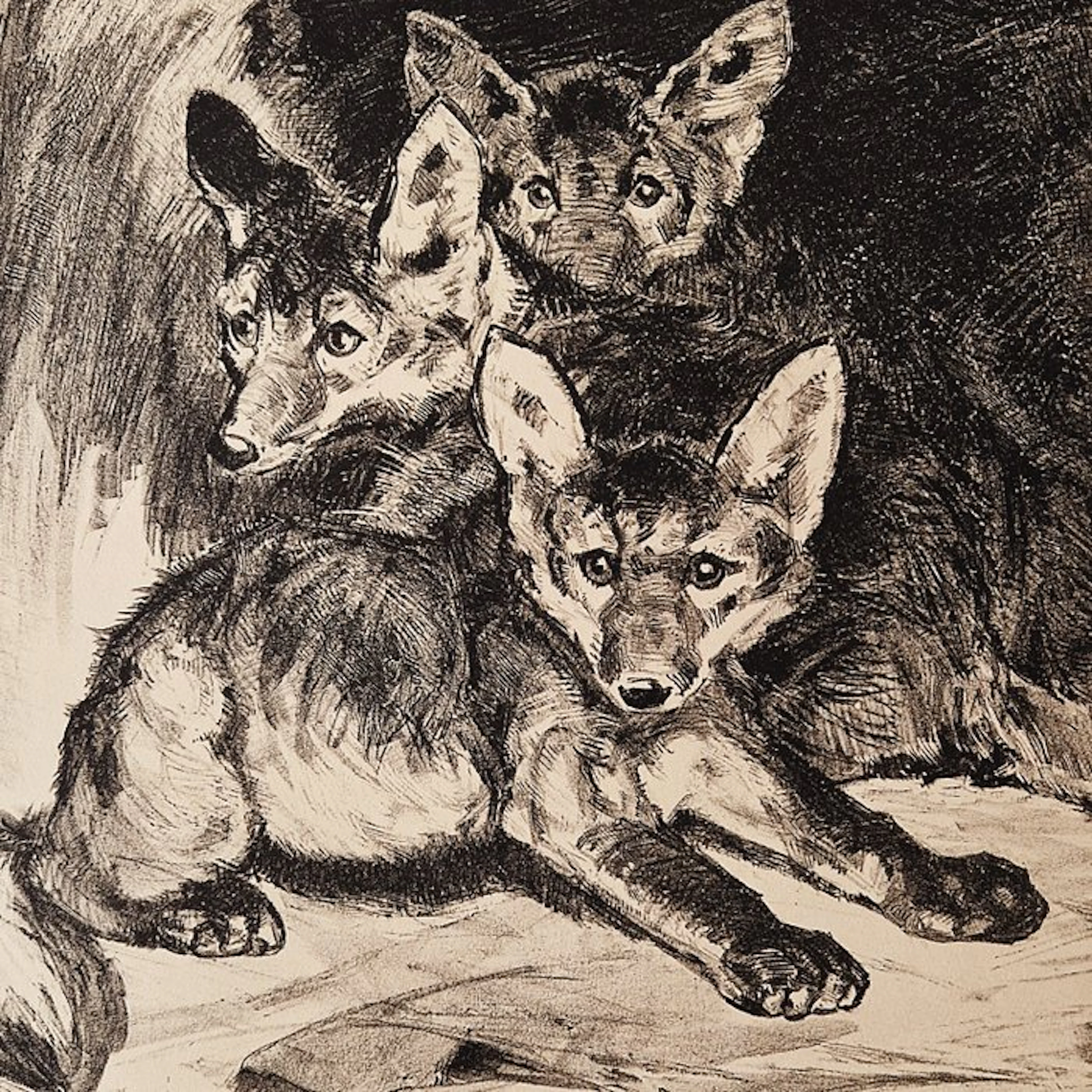 Cornelis Jan Mension (1882 -1950) - Vossen familie / family of Foxes