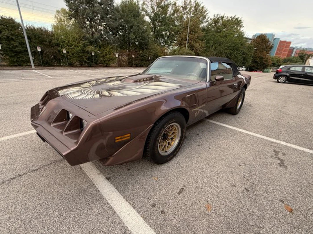 Pontiac - TRANS AM TA 6.6 - 1979