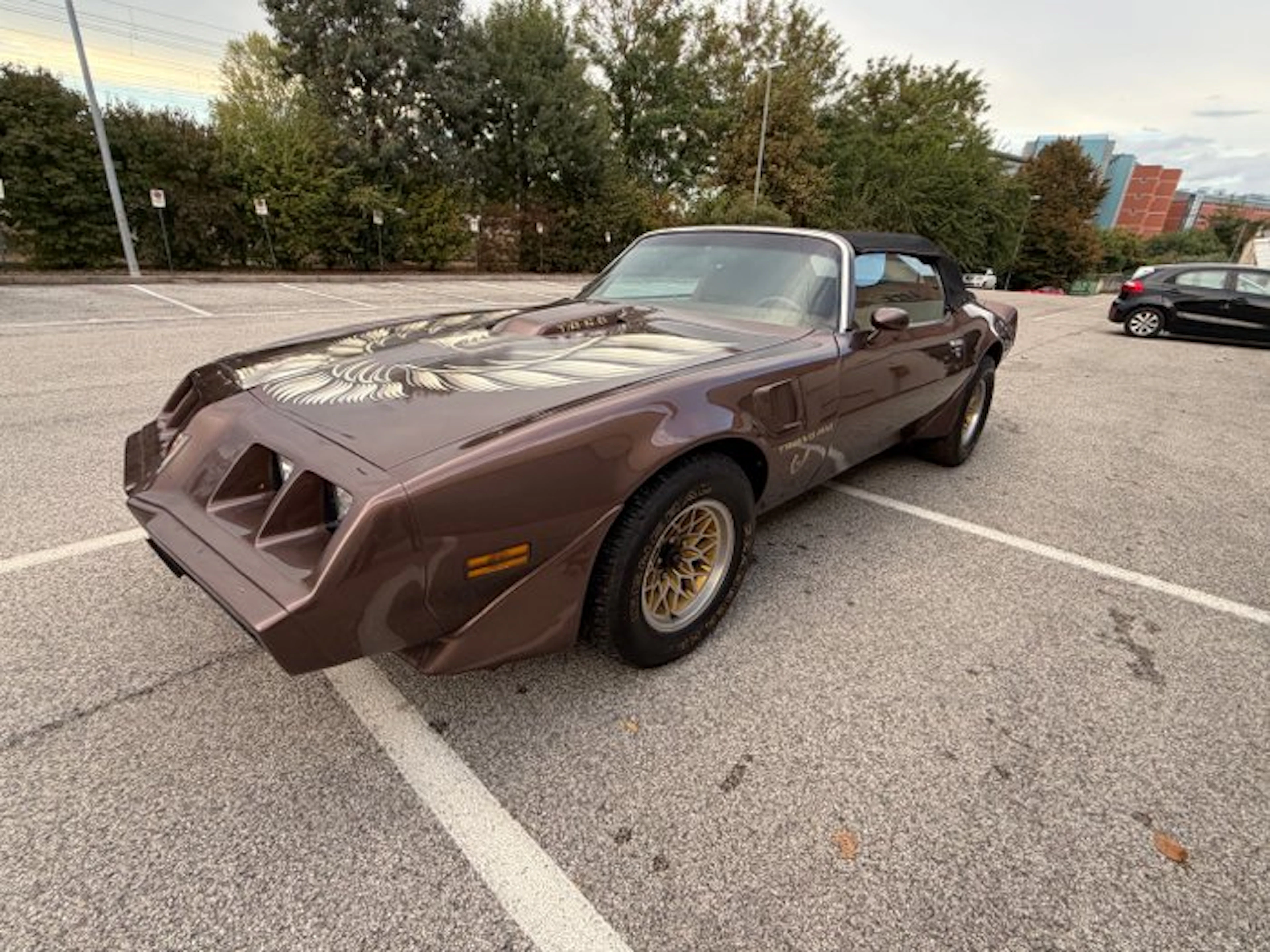 Pontiac - TRANS AM TA 6.6 - 1979