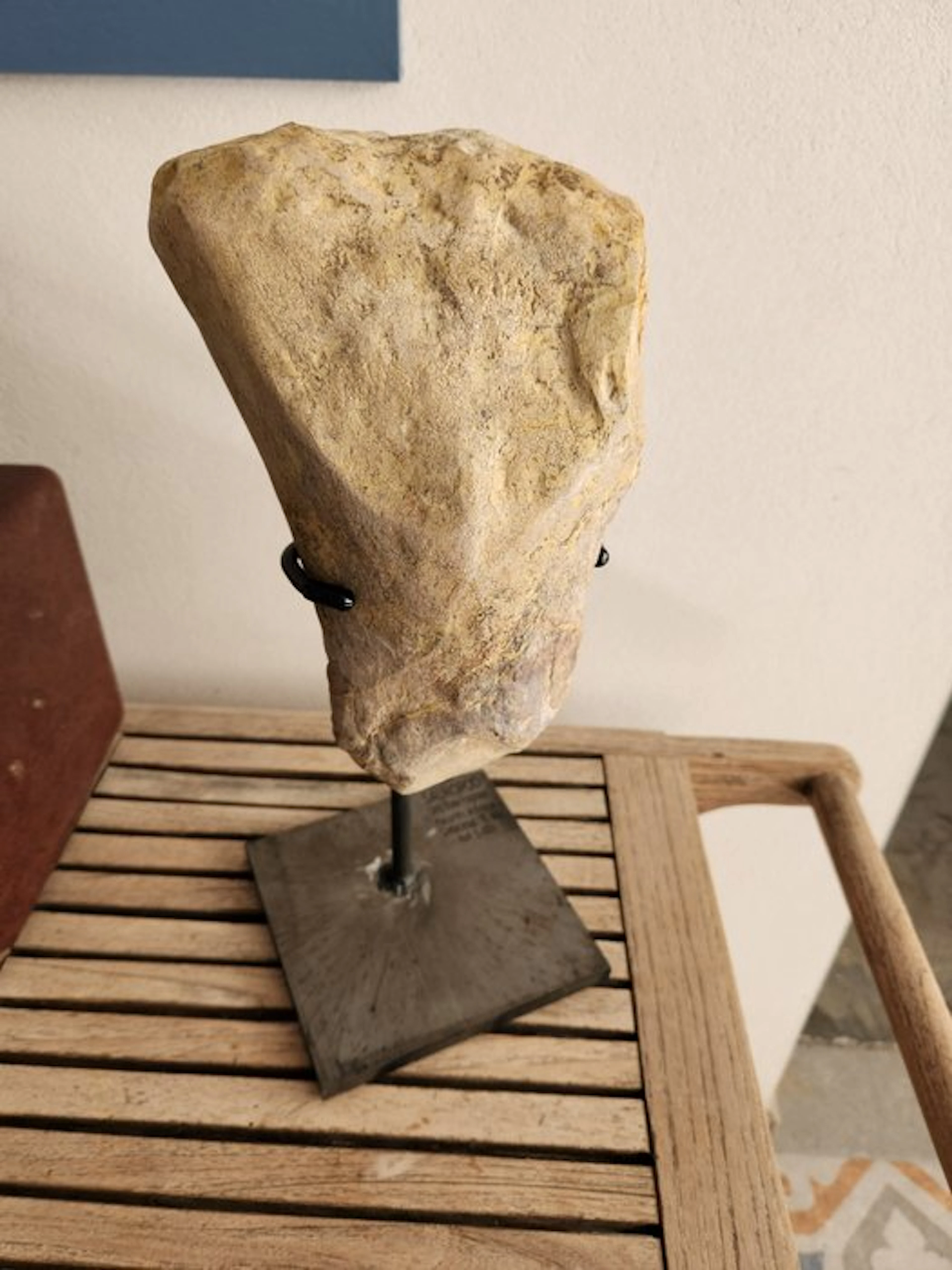 Sauropod - Fossil fragment - 24 cm - 16 cm (No reserve price)