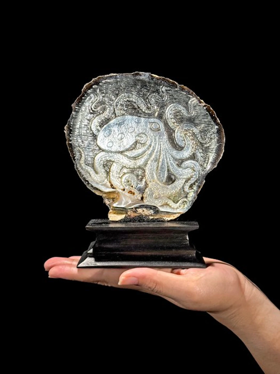 Intricately carved Mother of Pearl Shell - Octopus Motif...