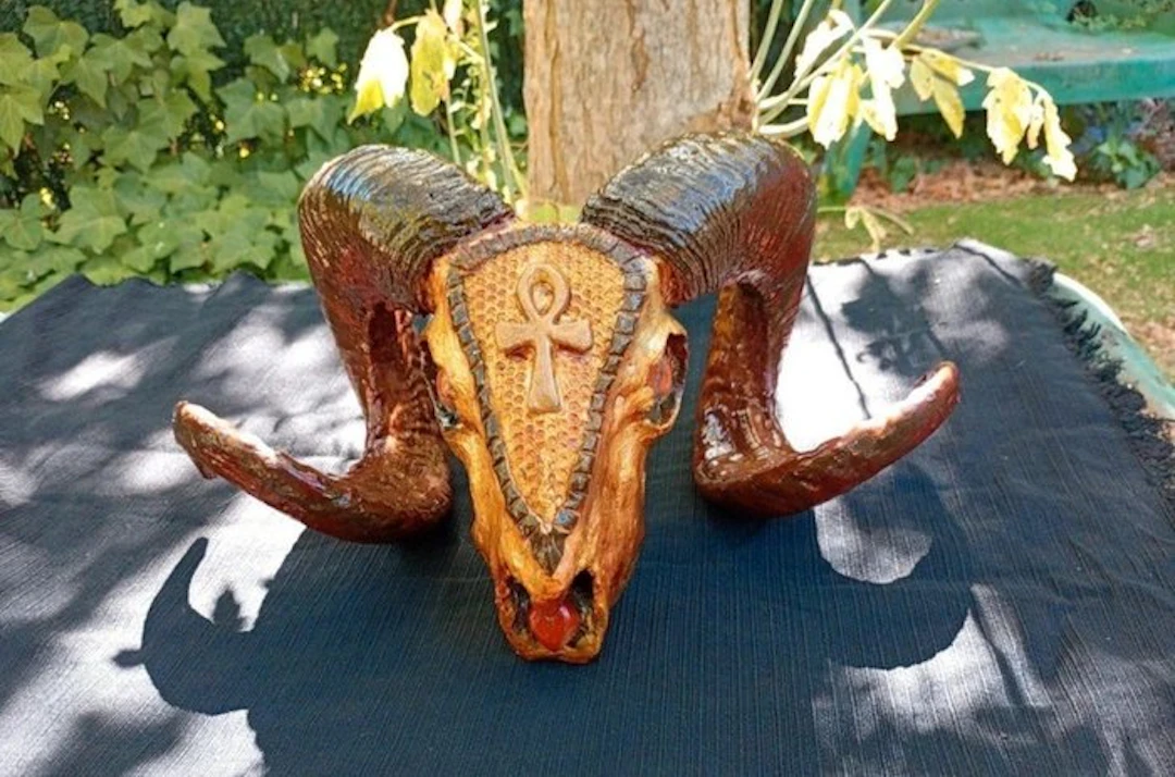 Mouflon Mammal skull - Ovis orientalis musimon - 40 cm - 60 cm - 30 cm - (1)
