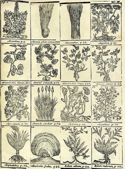 Nicolas Lemery - Dictionnaire universel des drogues simples [Médecine] - 1760