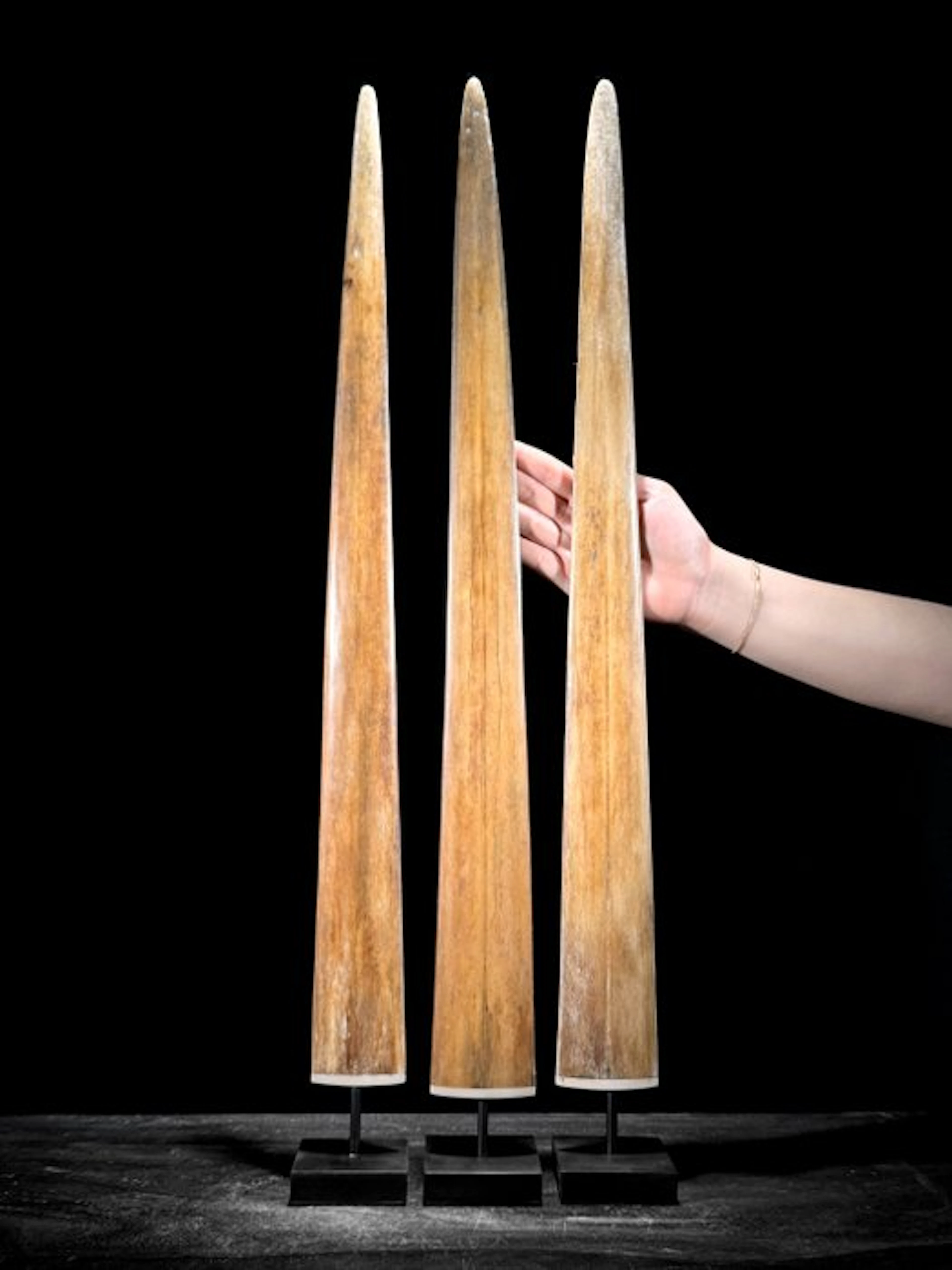 NO RESERVE PRICE - Stunning Large set of 3 swordfish...