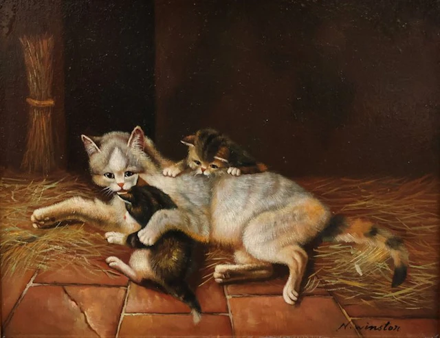 British school (XX) - Familia felina - NO RESERVE