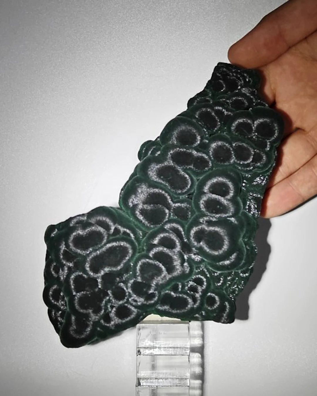 Aesthetics of brilliant velvety green malachite Crystals...