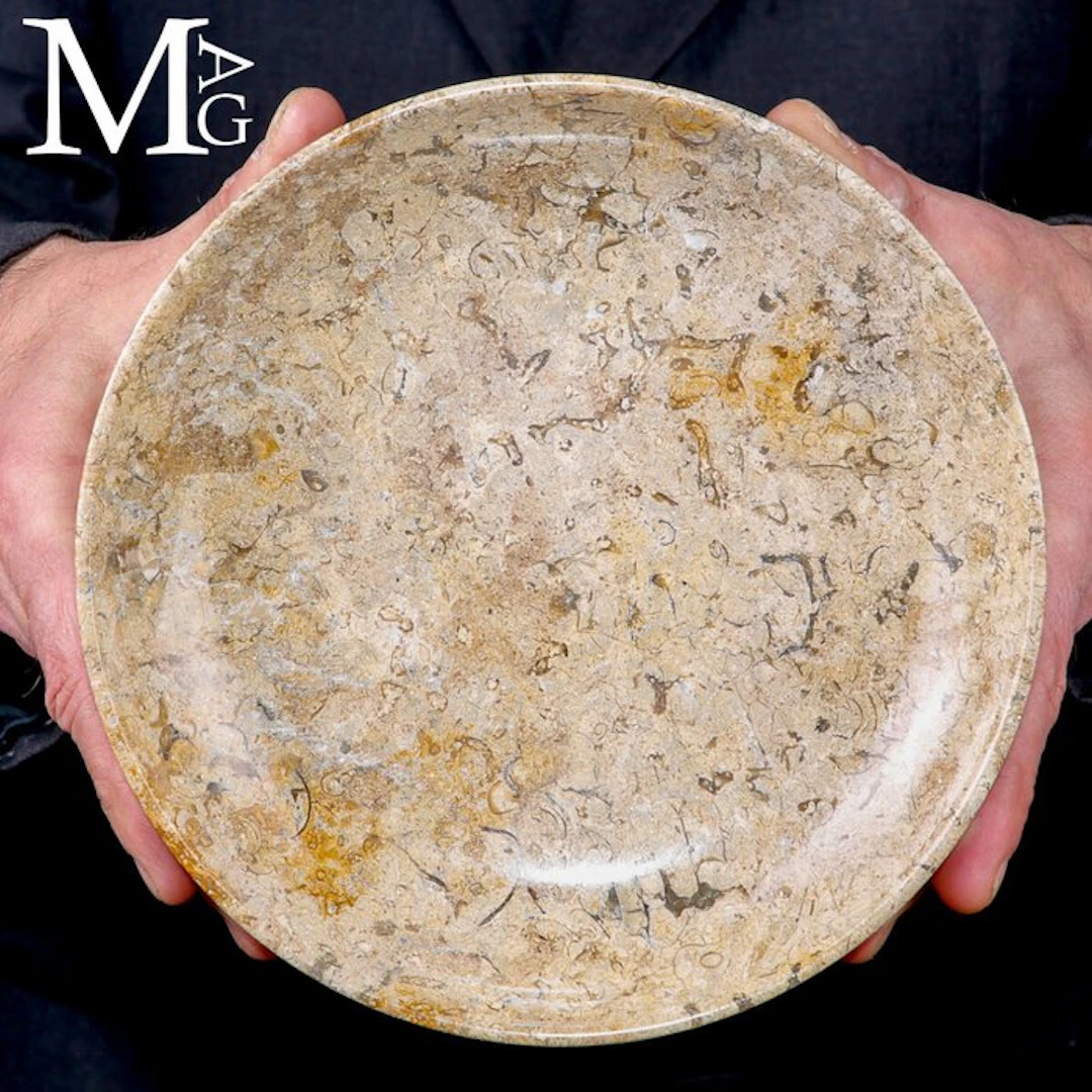 Fossil Fragments - Ancient Marine Organisms Fruit Holder...
