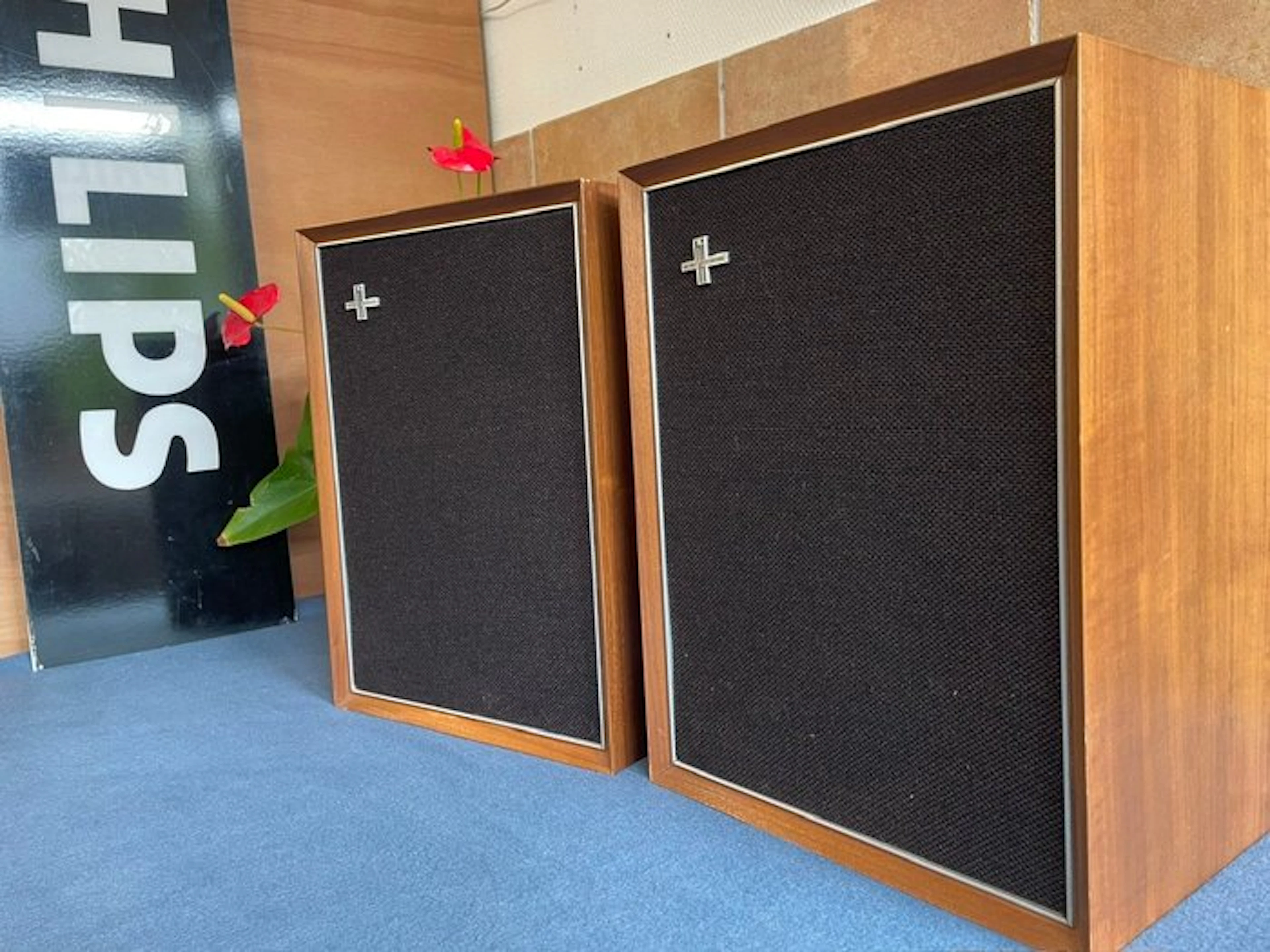 Philips - 22RH493 Speaker set