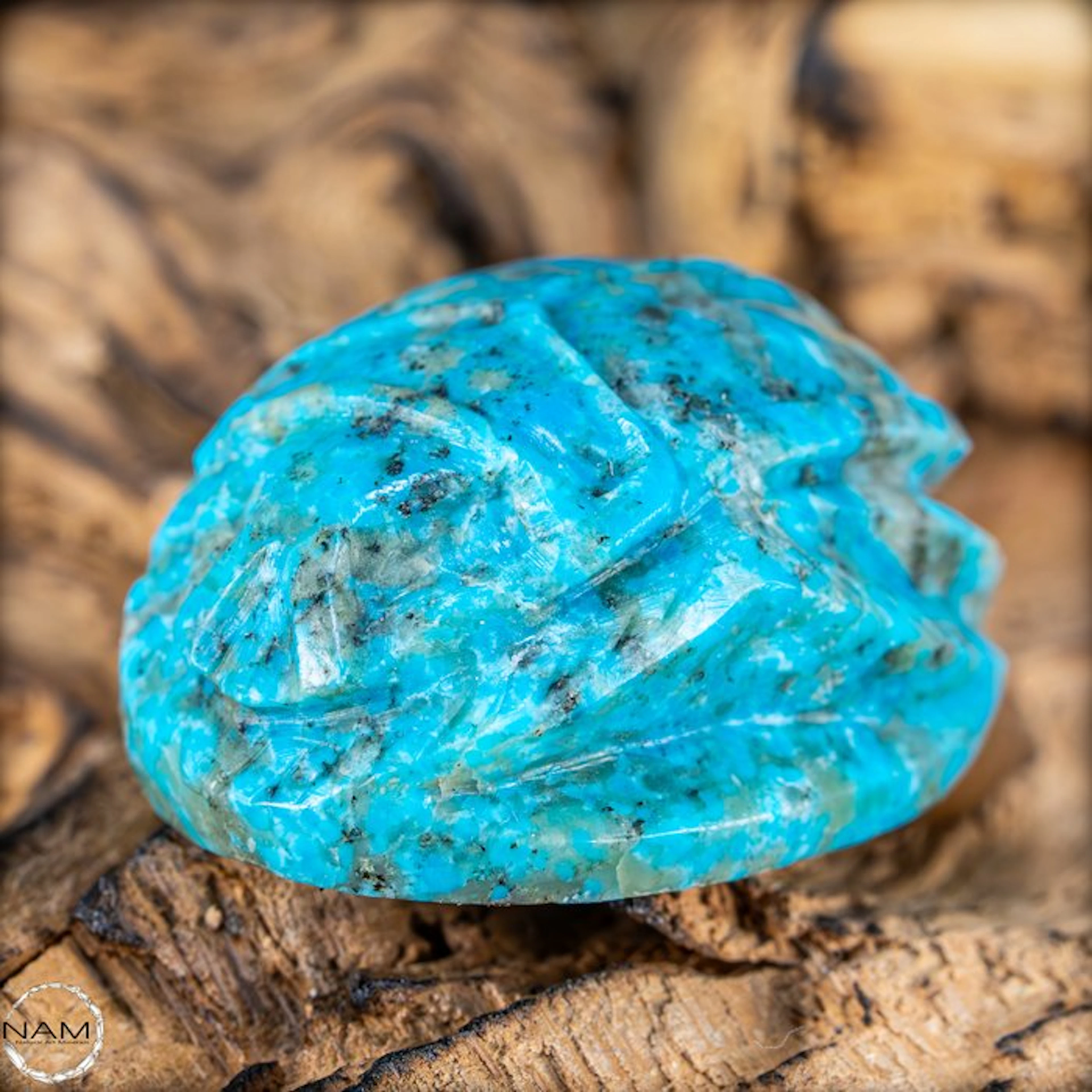 Natural Turquoise Scarab carving Arizona 89.4 ct- 17.88 g