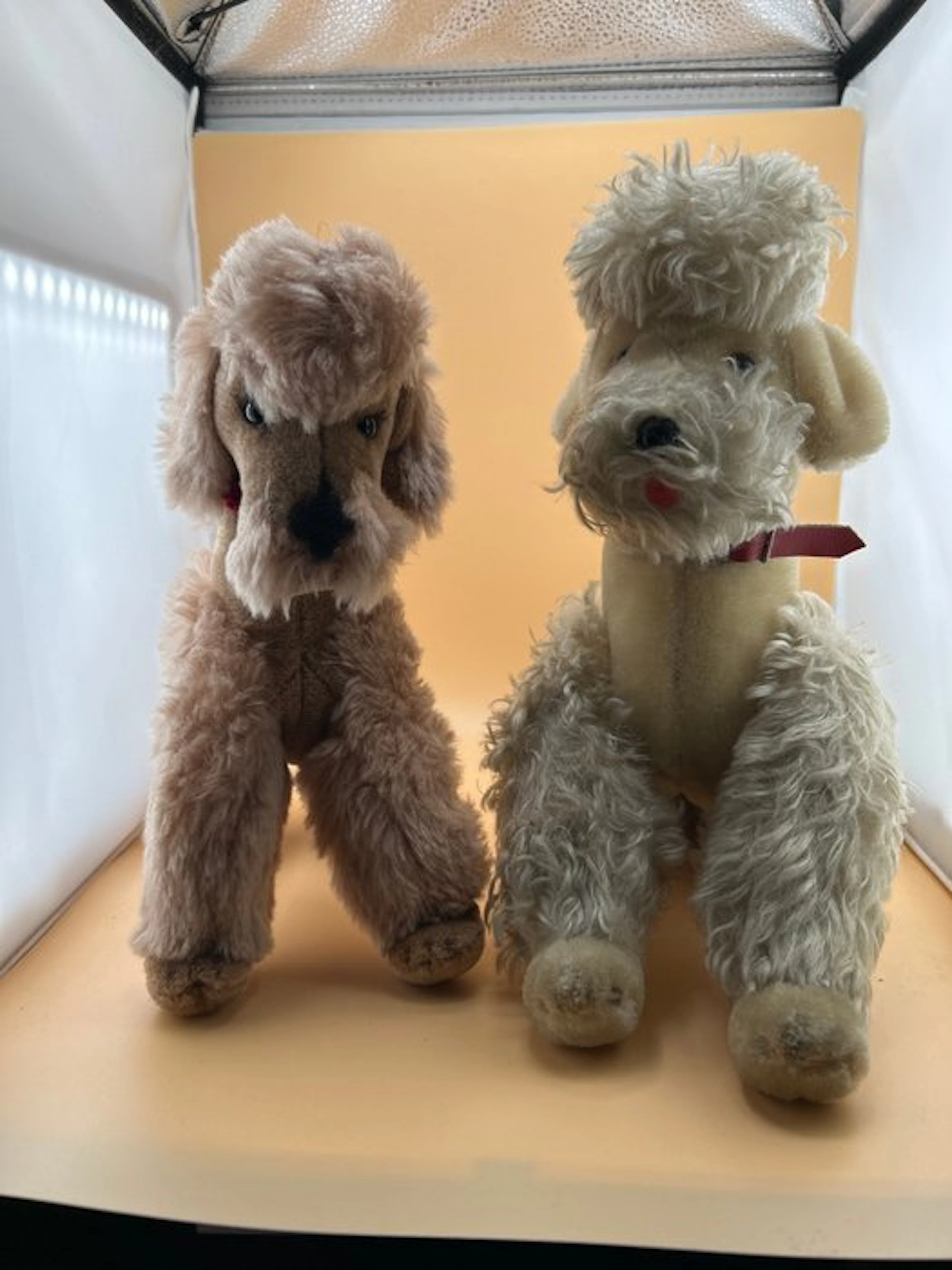 Steiff - Plush toy Steiff Hunde - 1950-1960