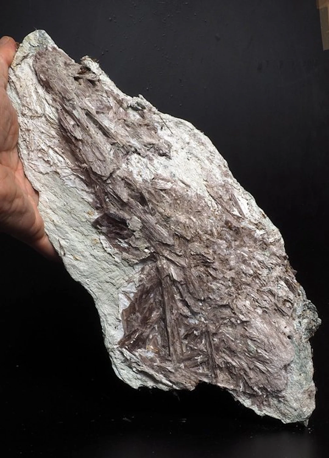 Andradite Crystals on matrix - Height: 35 cm - Width: 18 cm- 2.5 kg