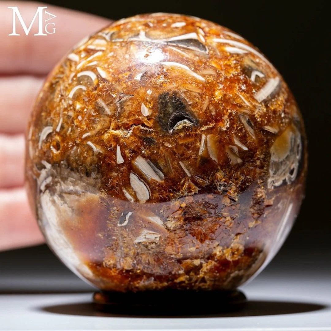Ancient fossilized ammonite sphere - Mosaic of Cretaceous...