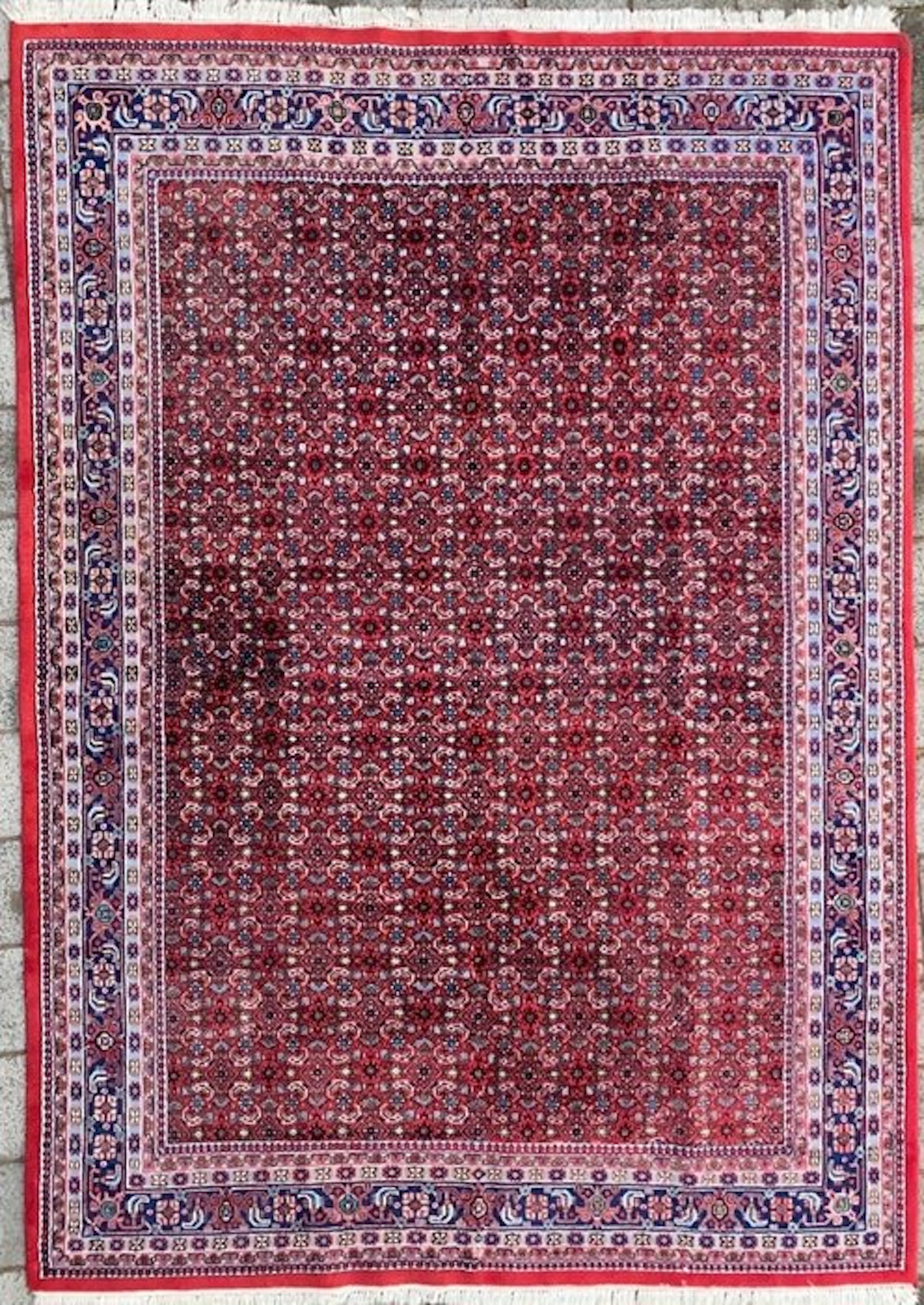 Indo Herati - Carpet - 353 cm - 254 cm