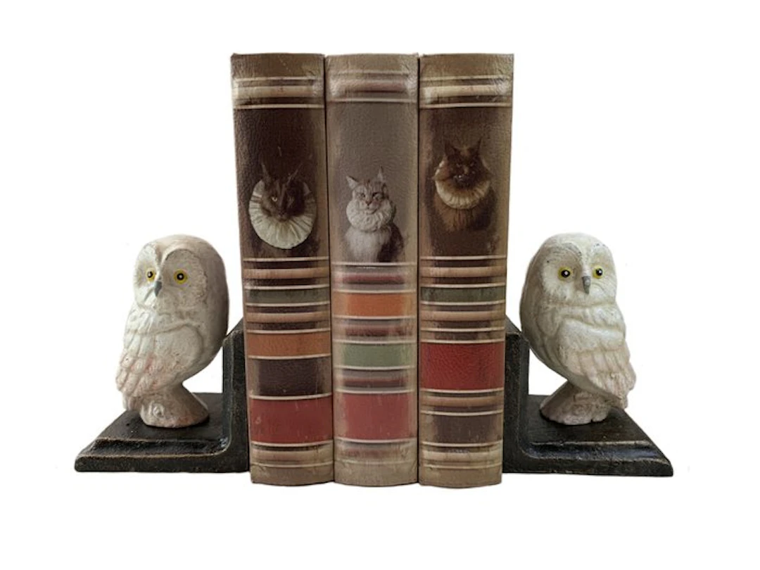 Decorative ornament (2) - Europe - Pair of 2 owl book ends