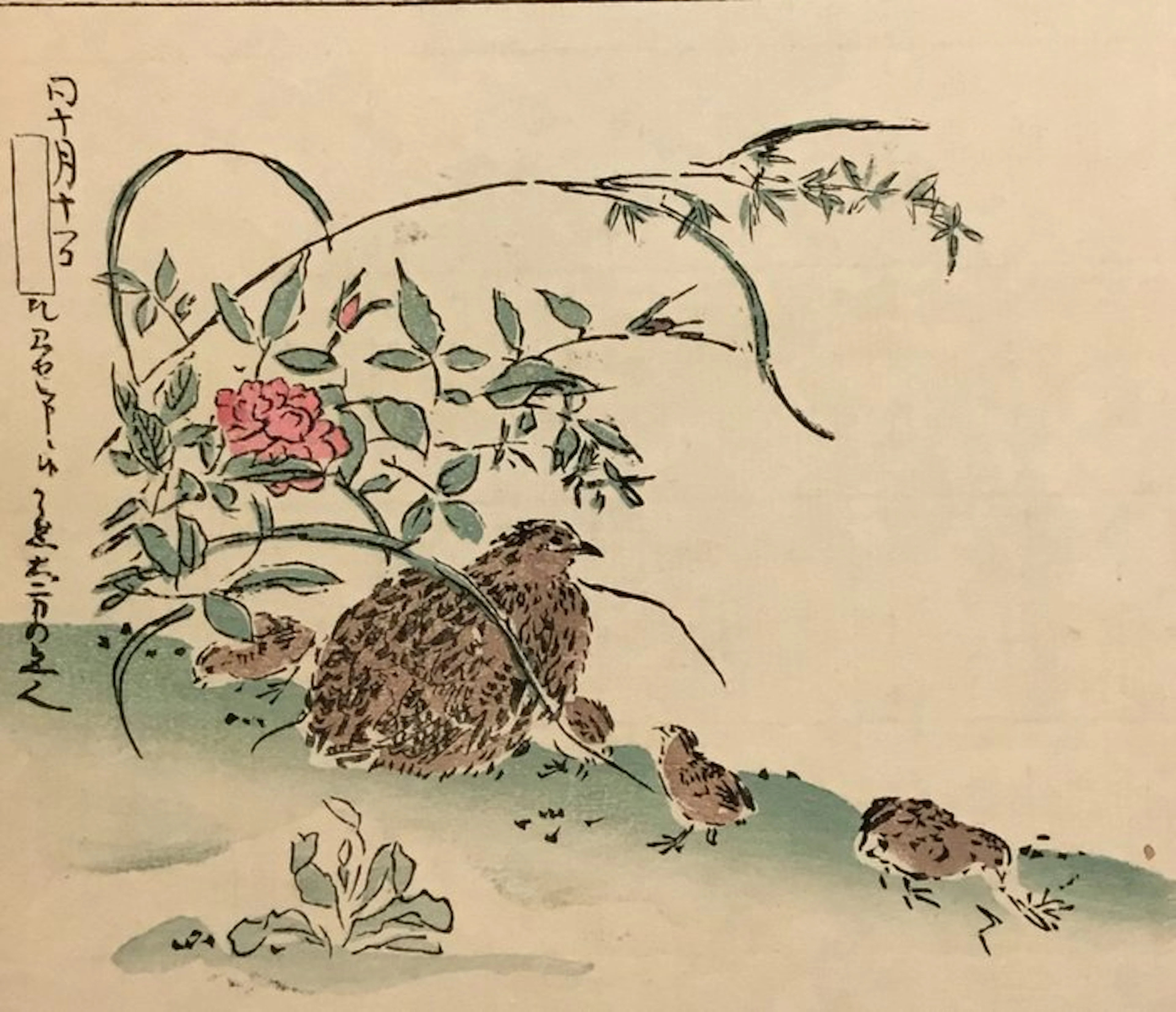 Een kwartel met kuikens - Takizawa Kiyoshi aktief...