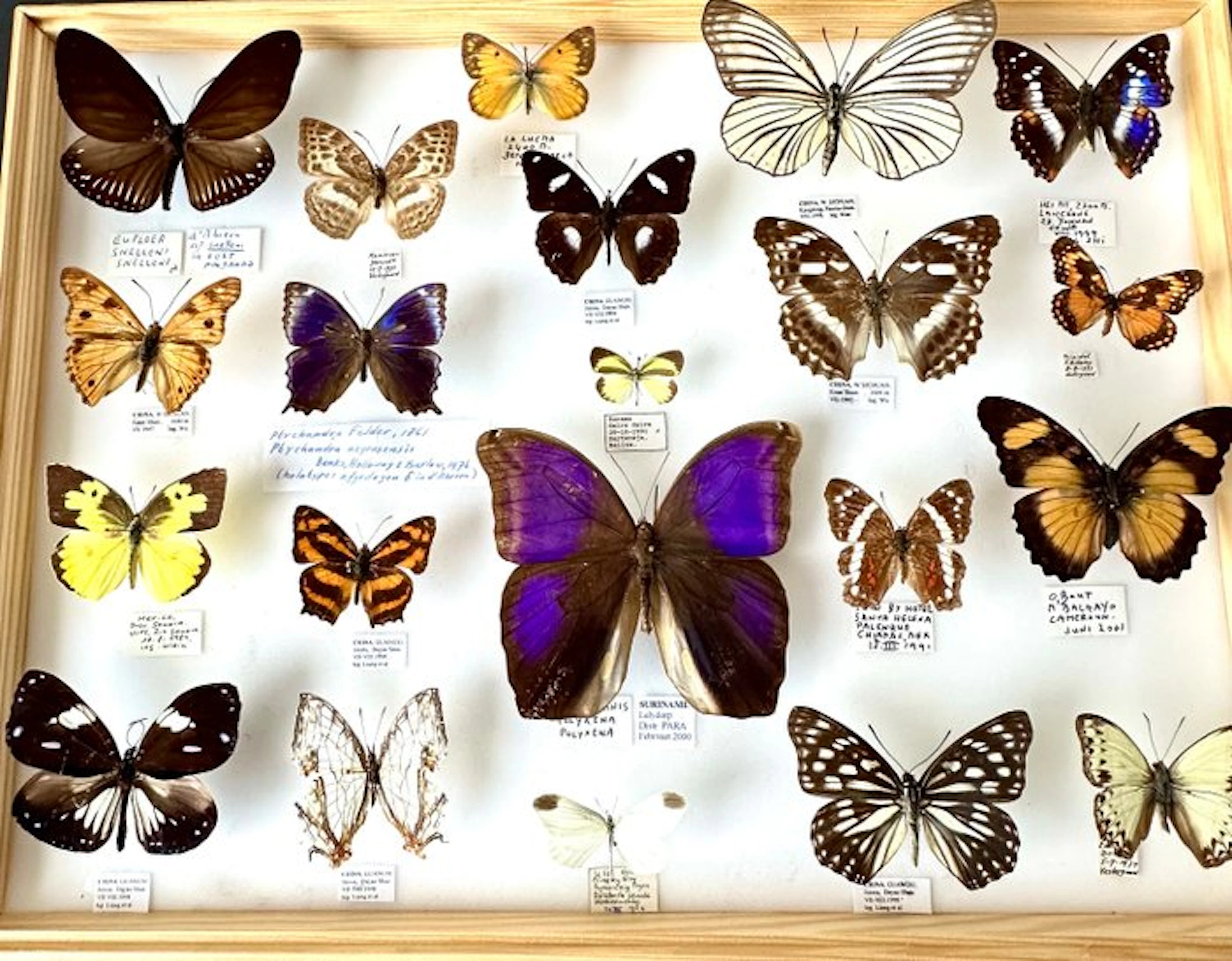 A museum-grade historical world collection of 21...