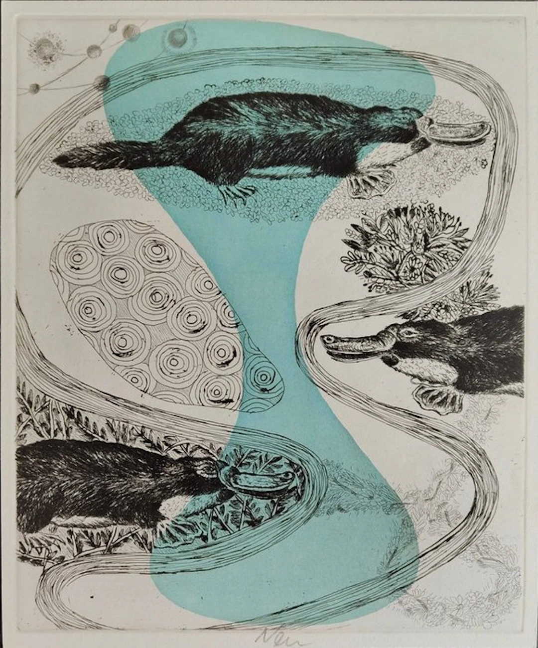 Hartmut Neumann (1954) - Platypuses