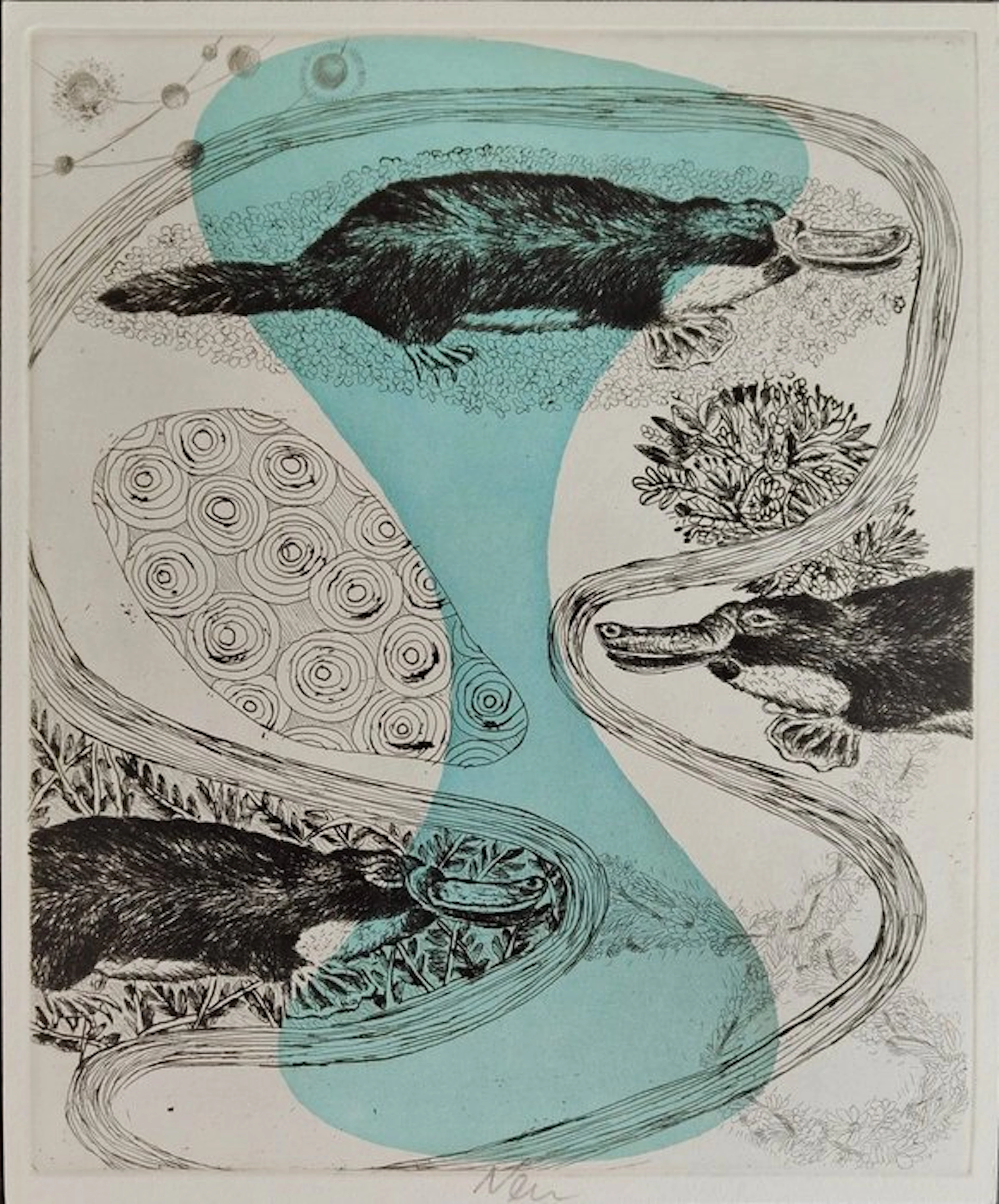 Hartmut Neumann (1954) - Platypuses