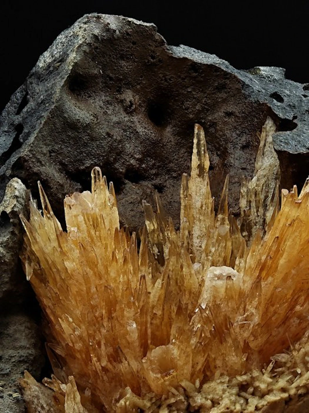 Aesthetic Rays of Aragonite