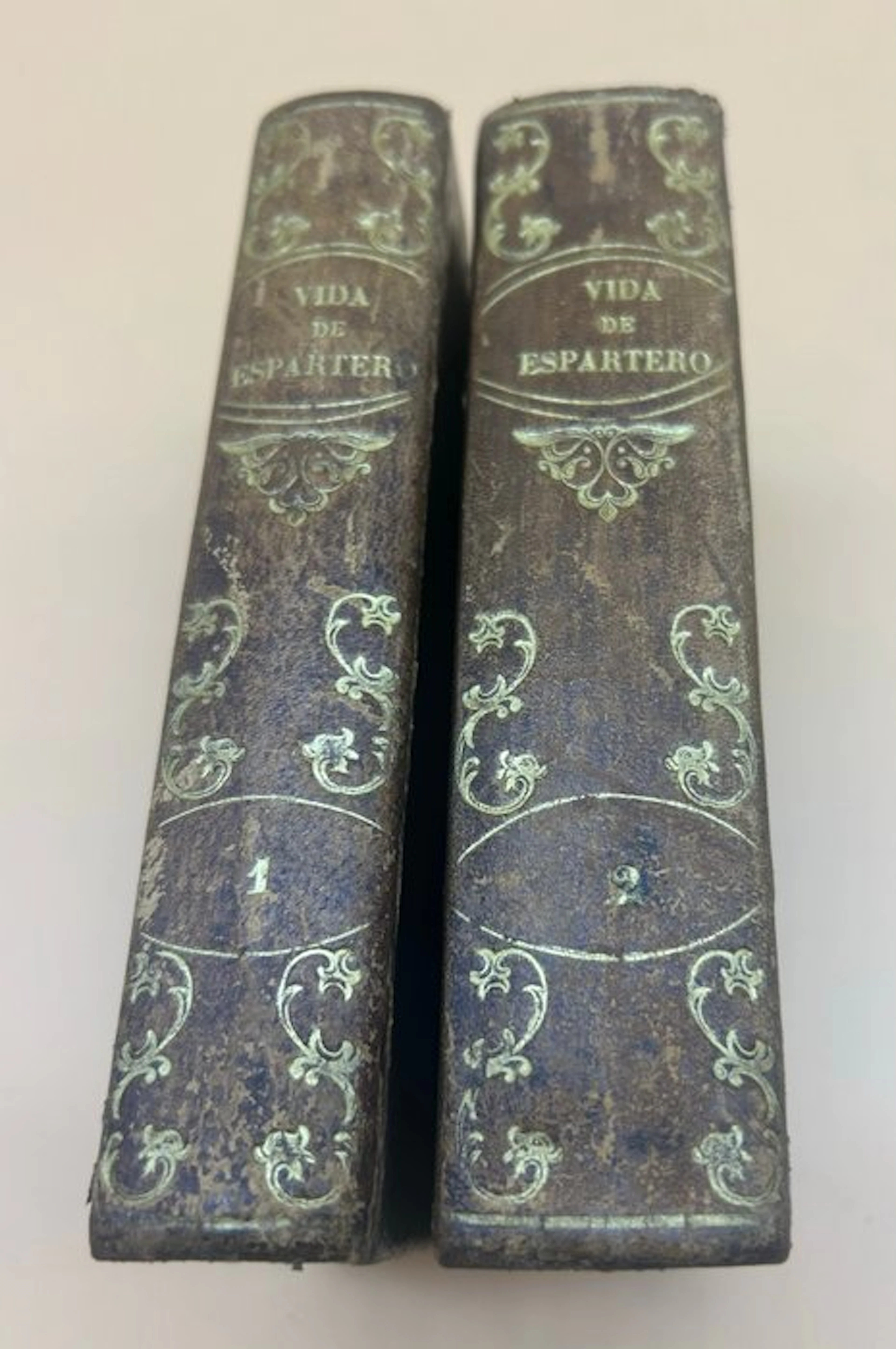 Alejandro Cardeñosa y J. de Torá - Vida militar y política de Espartero - 1846