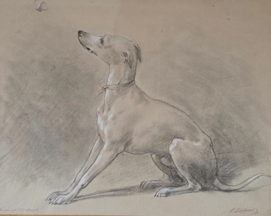 Otto Eerelman (1839-1926) - Italiaanse Windhond