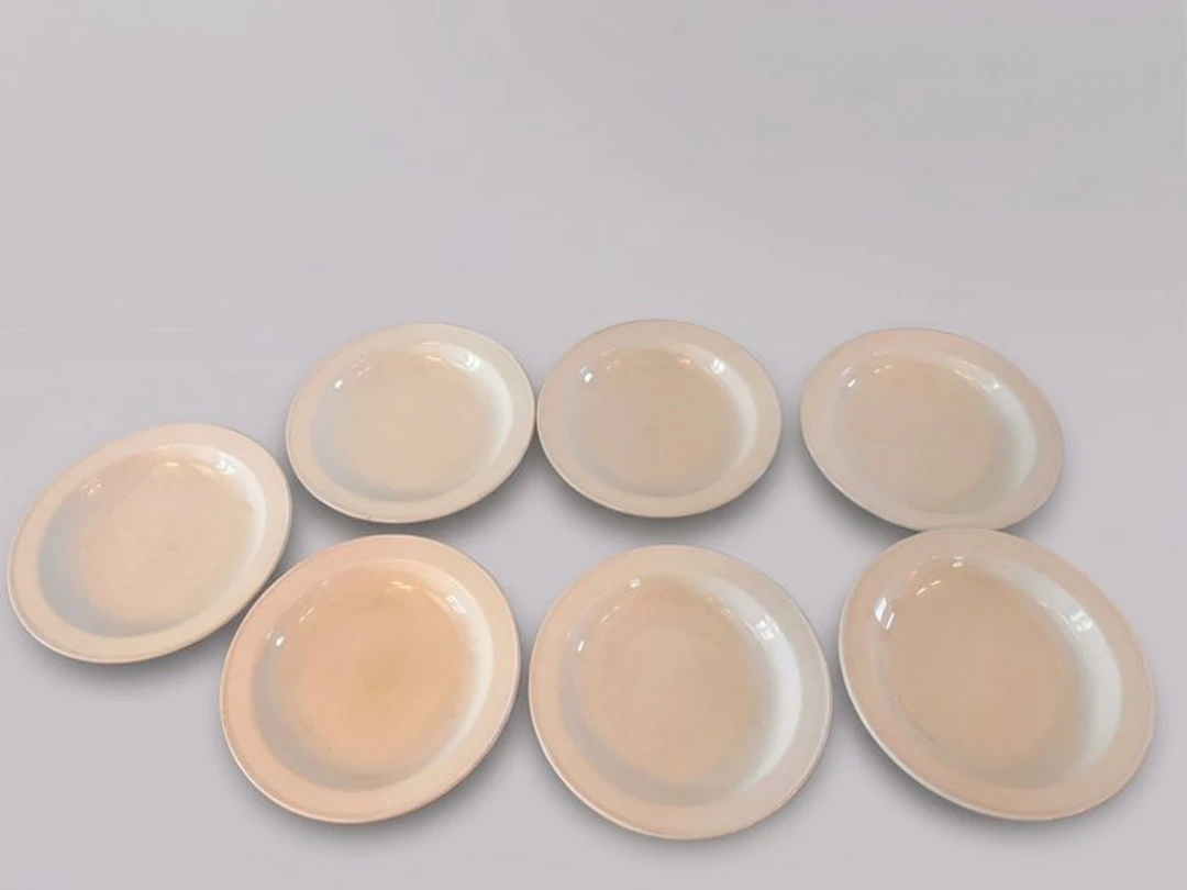 Richard Ginori - Dish (7) - Porcelain - NO RESERVE