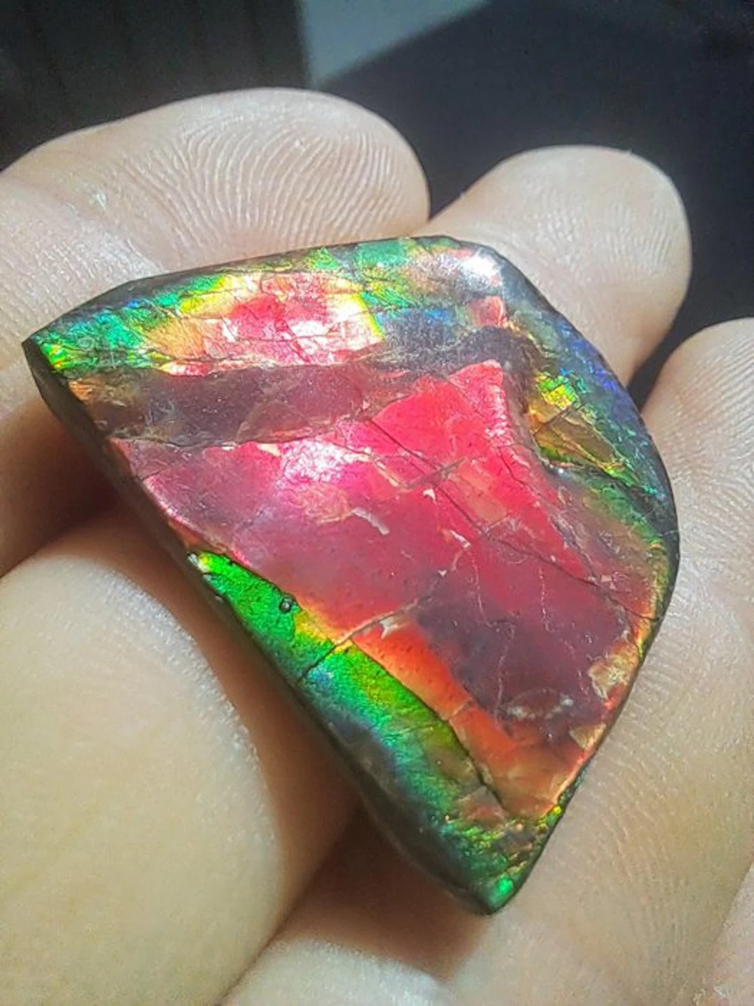 Ammolite - Fossil fragment - Placenticeras - 3.3 cm - 2.5 cm (No reserve price)