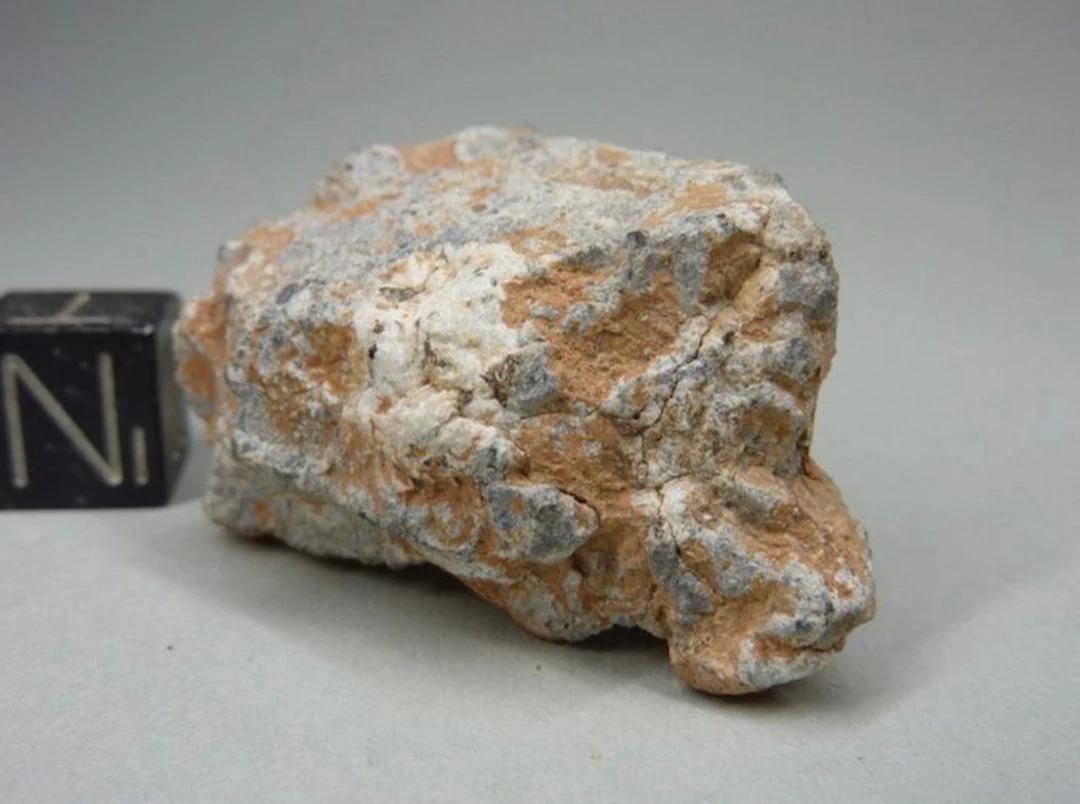 Lunar meteorite Rough - Height: 36 mm - Width: 22 mm - 15.9 g - (1)