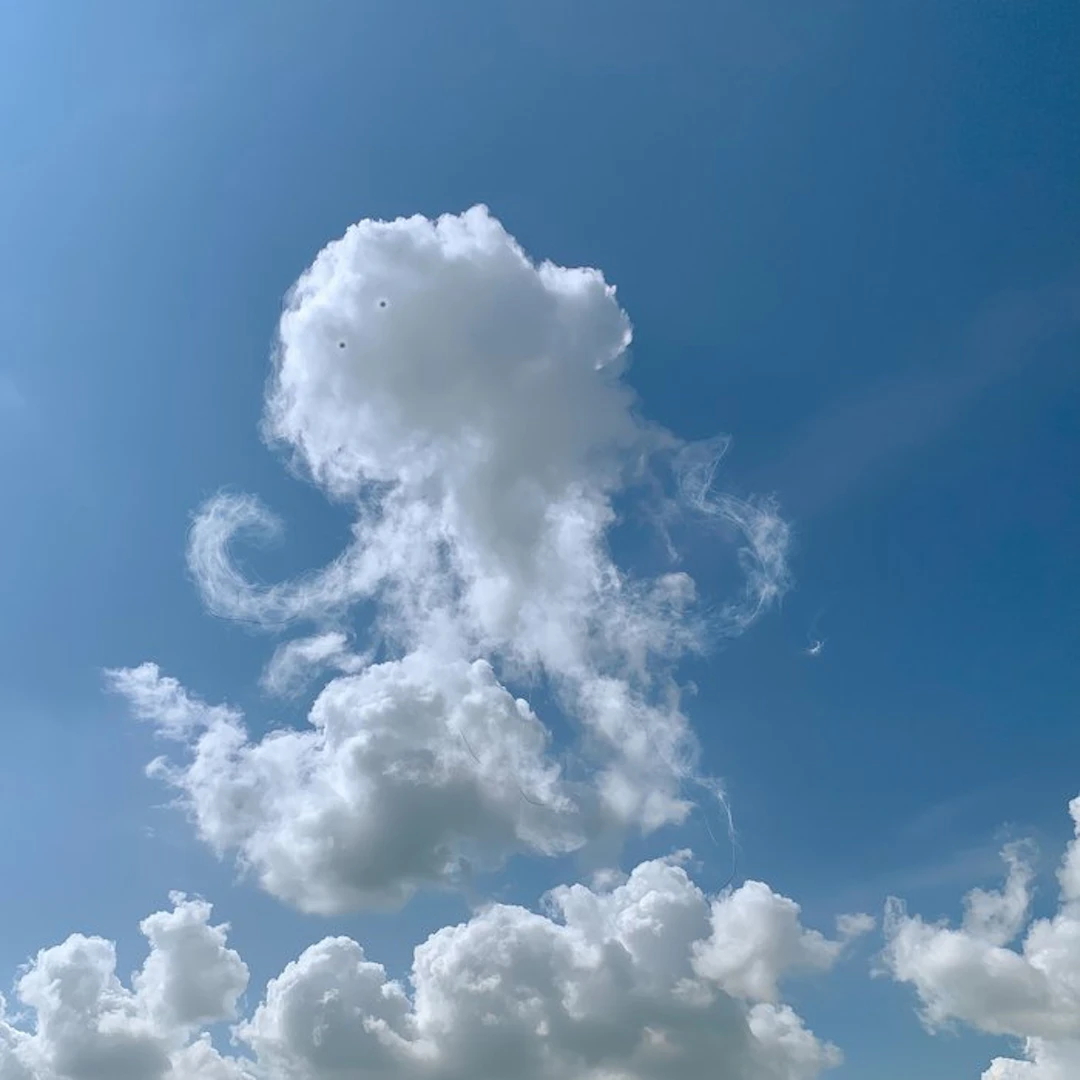 David Law - Magic Clouds - The Octopus
