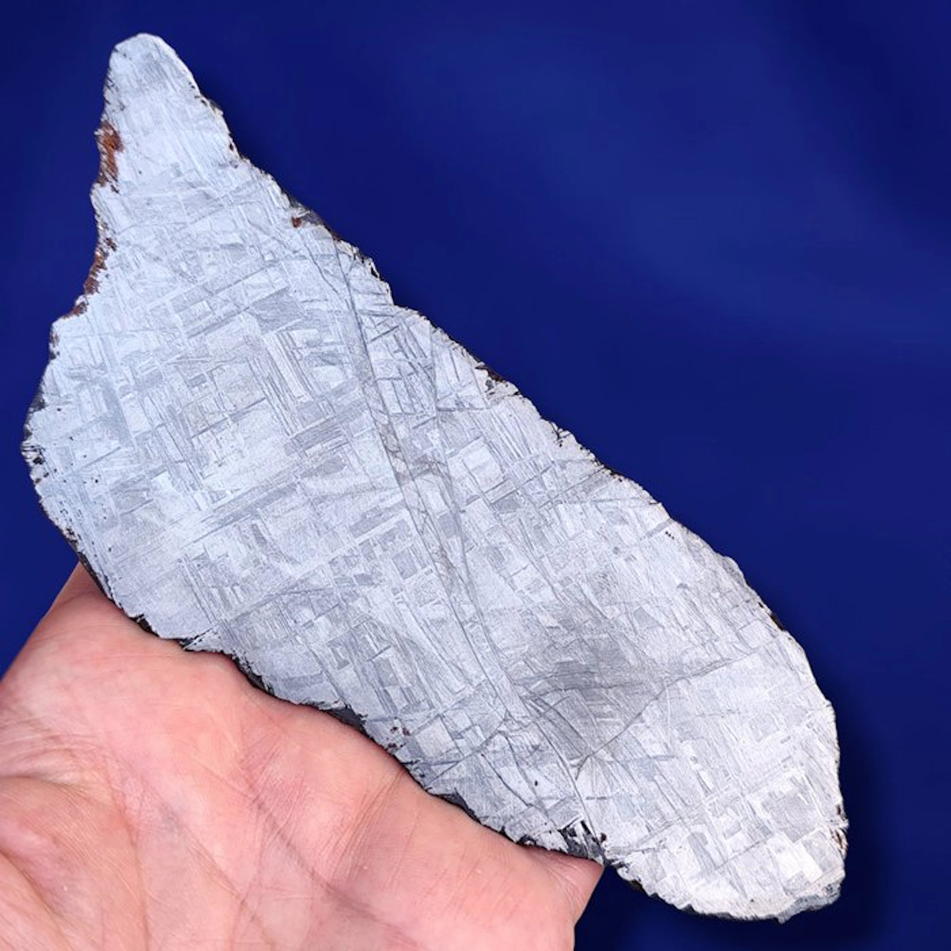 17 cm!!!- Amazing XL Muonionalusta METEORITE Slice (Sweden