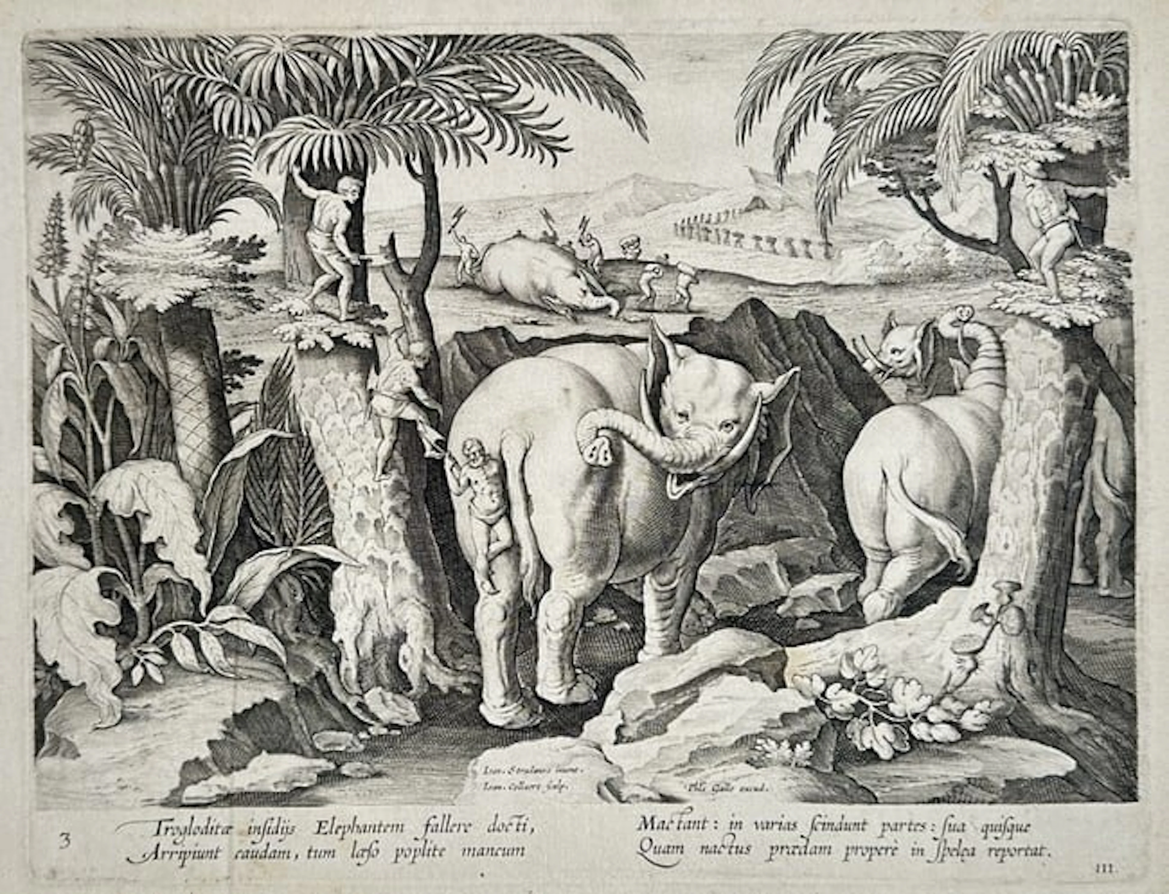 Johannes Stradanus (1523-1605) - Troglodyte Elephant Hunt...