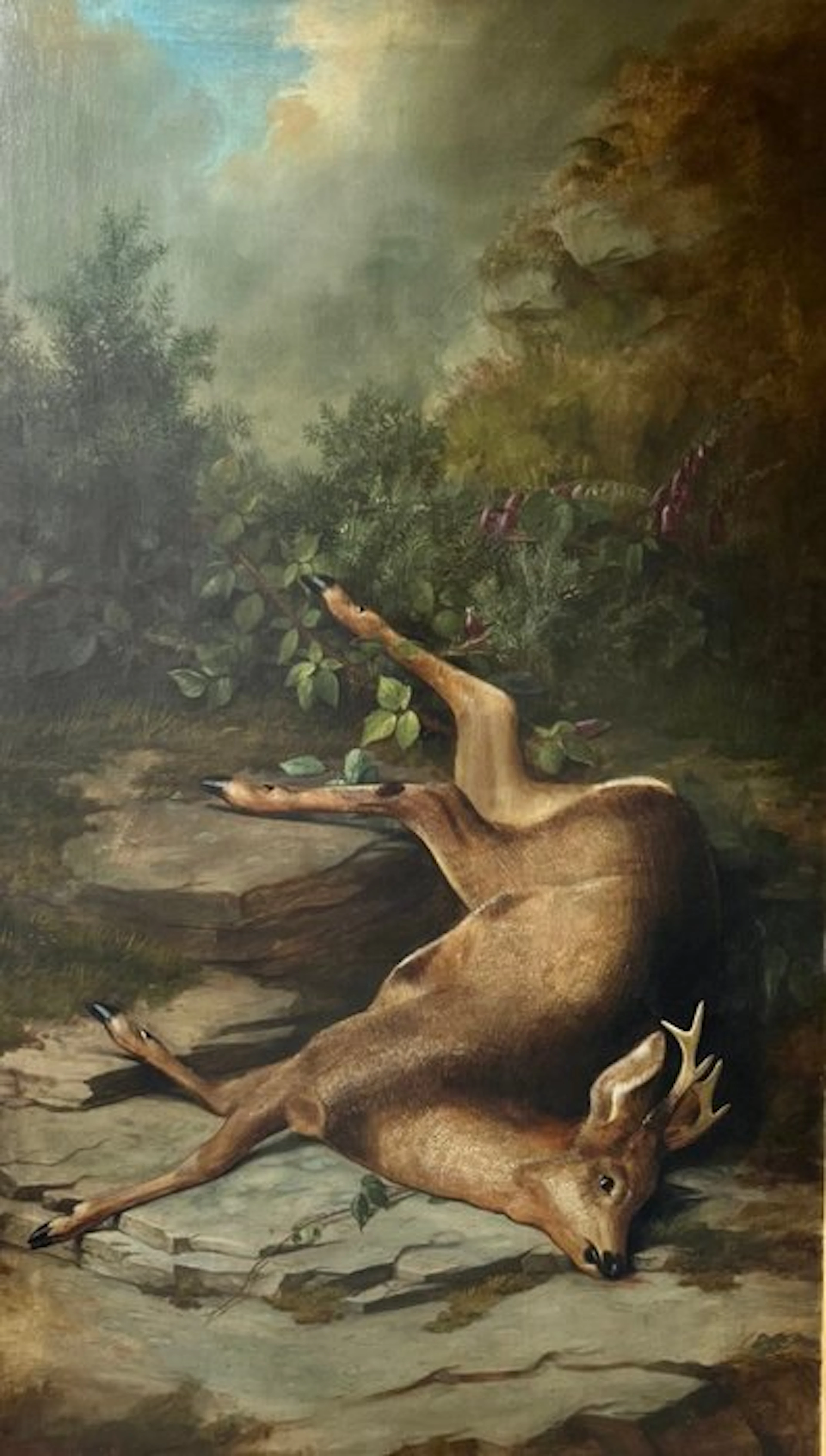 John Bucknell Russell (1819-1893) - Roe Deer Shot in a...