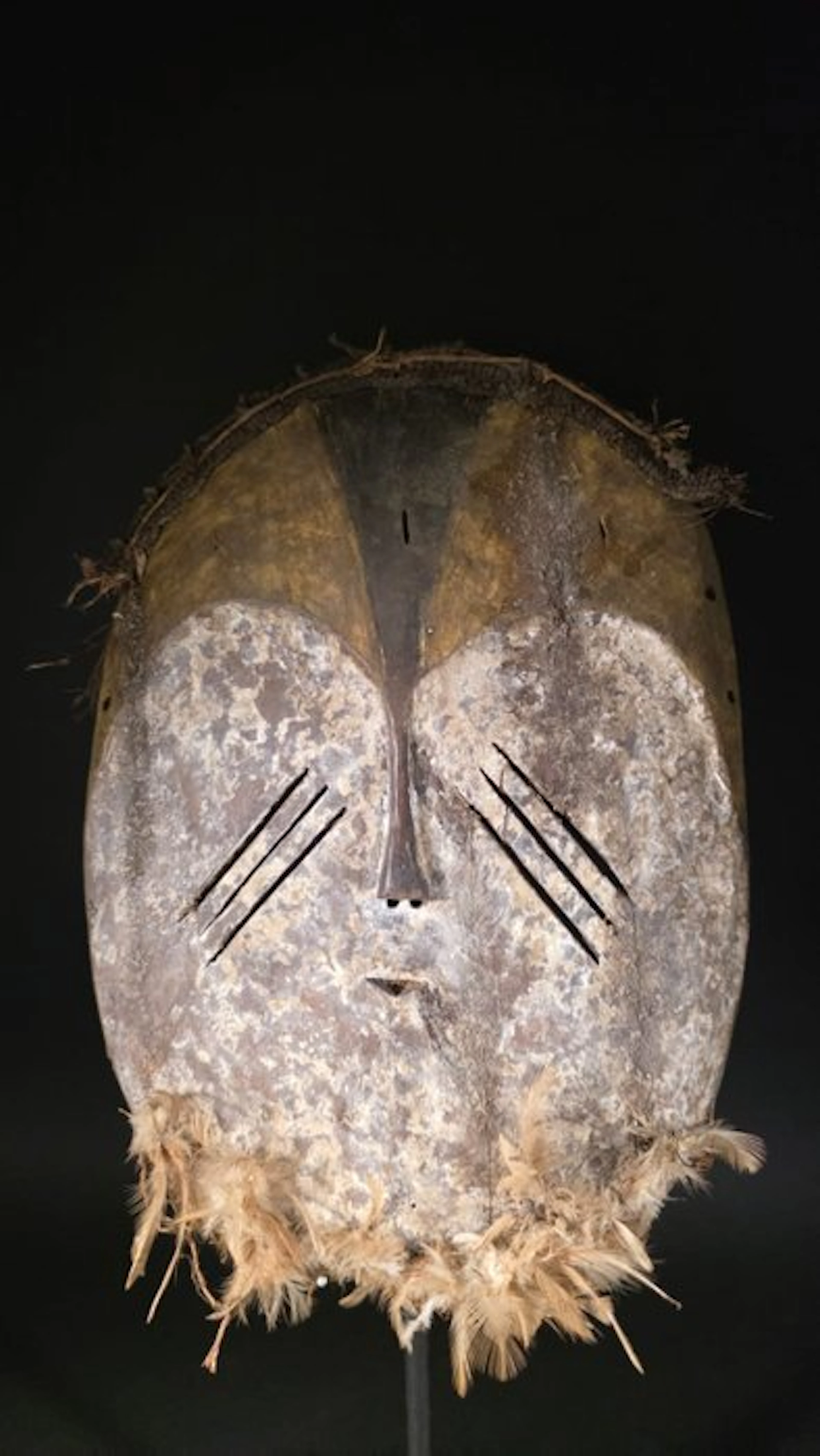 Wooden mask - Mbole - DR Congo (No reserve price)