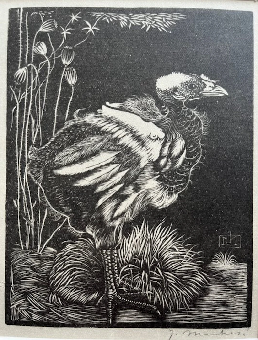 Jan Mankes (1889-1920) - Nestkuiken 1923