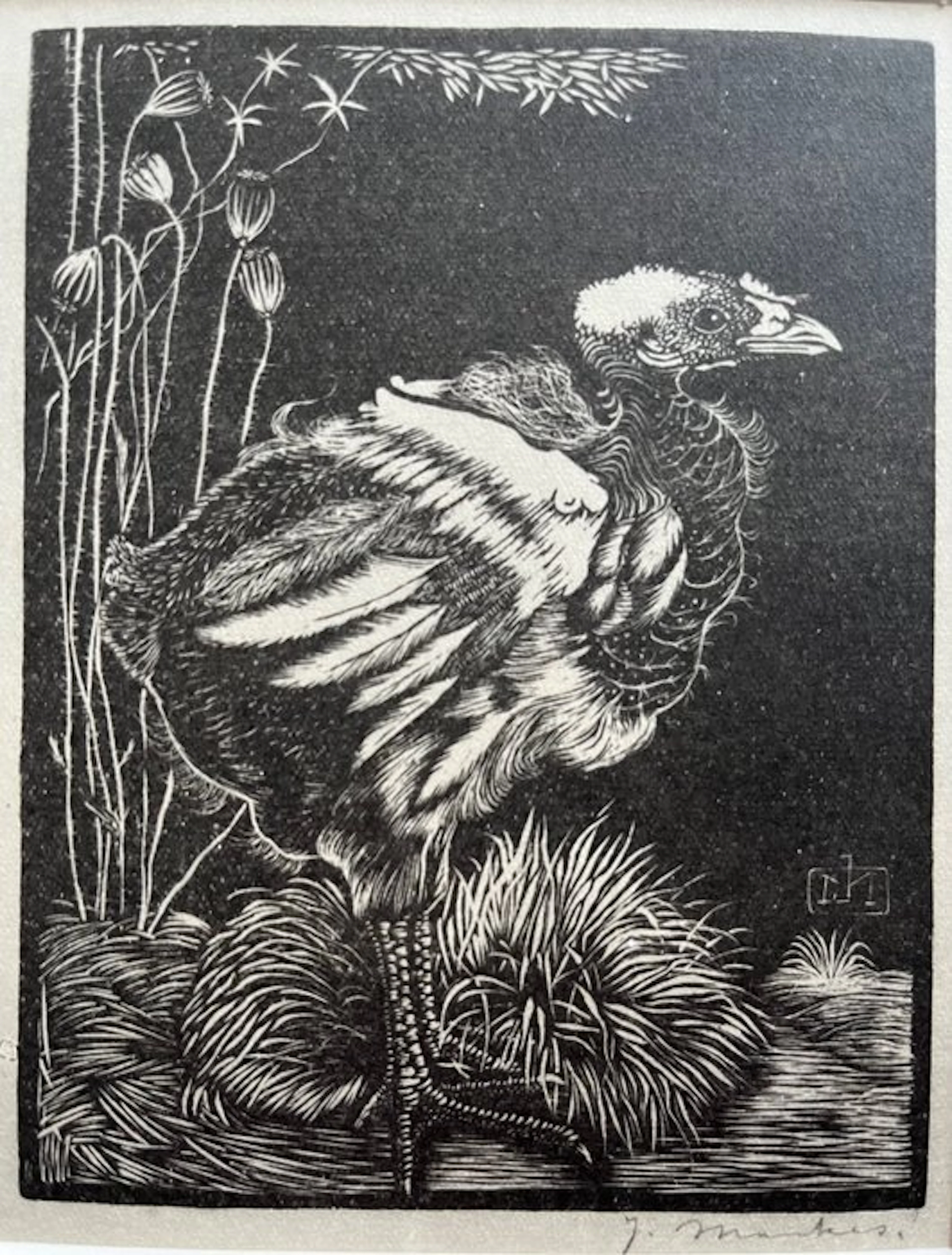 Jan Mankes (1889-1920) - Nestkuiken 1923