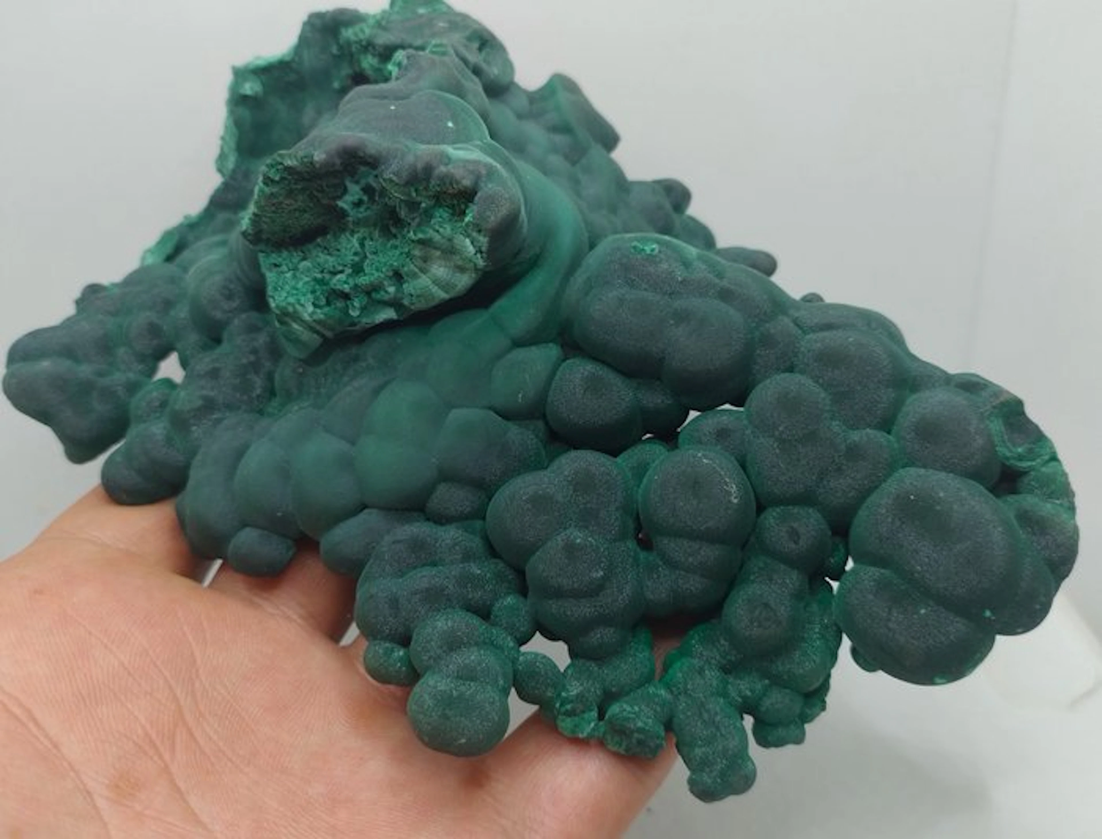 Beautiful Formation - Exceptional Quality - Iridescent...