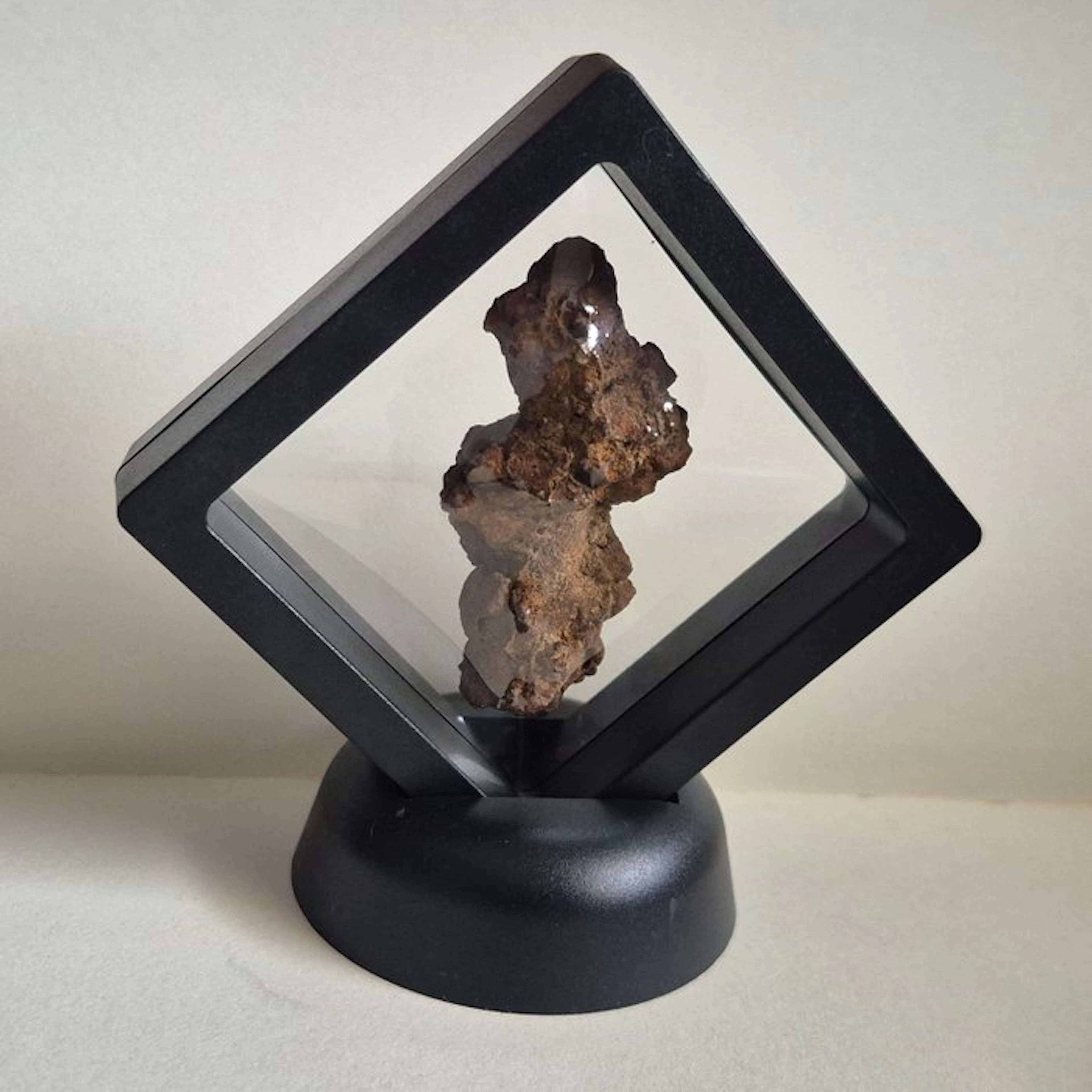 Bijzondere Fossiele Coproliet – Gefossiliseerde...