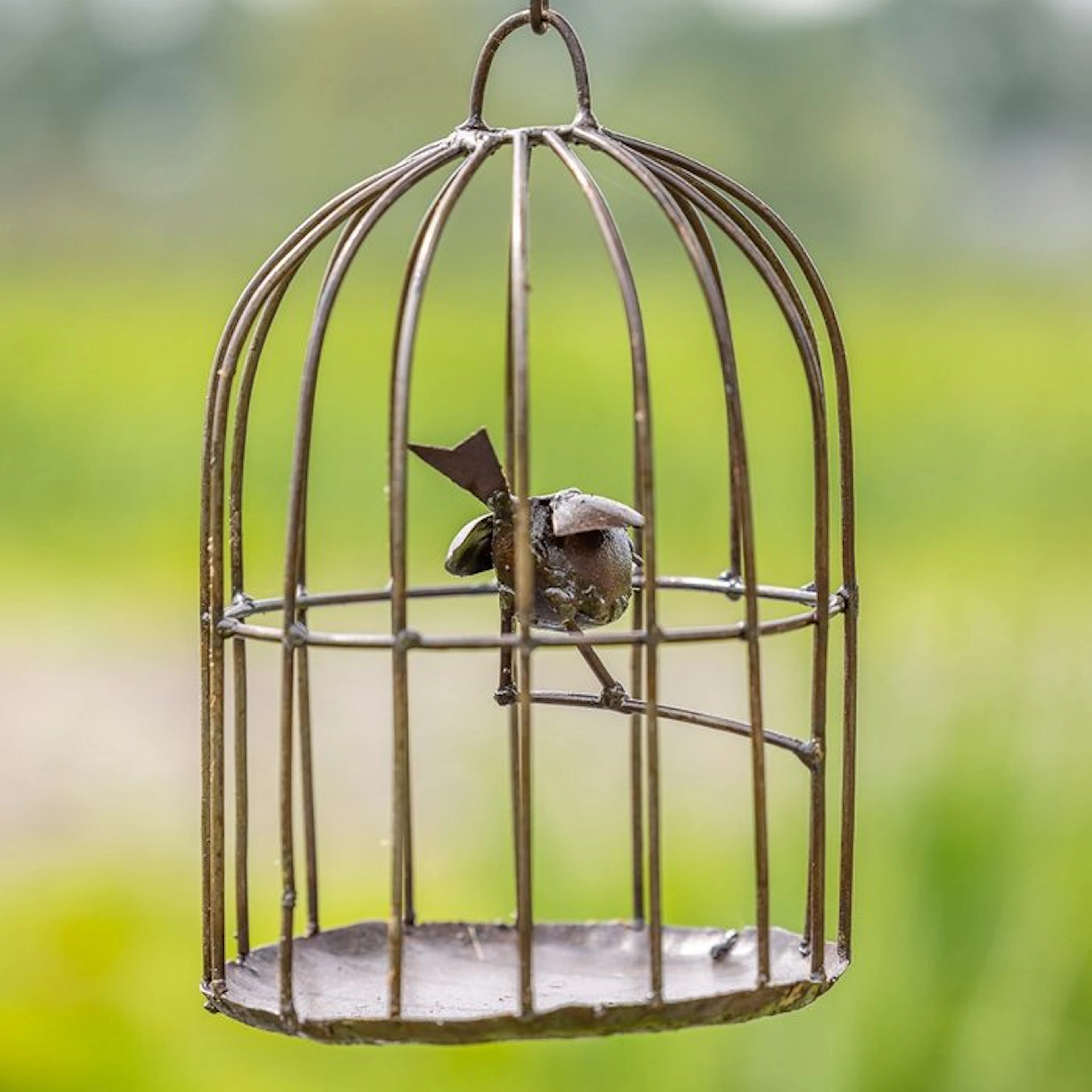 Birdbath - Metal - Birdcage as a drinking trough