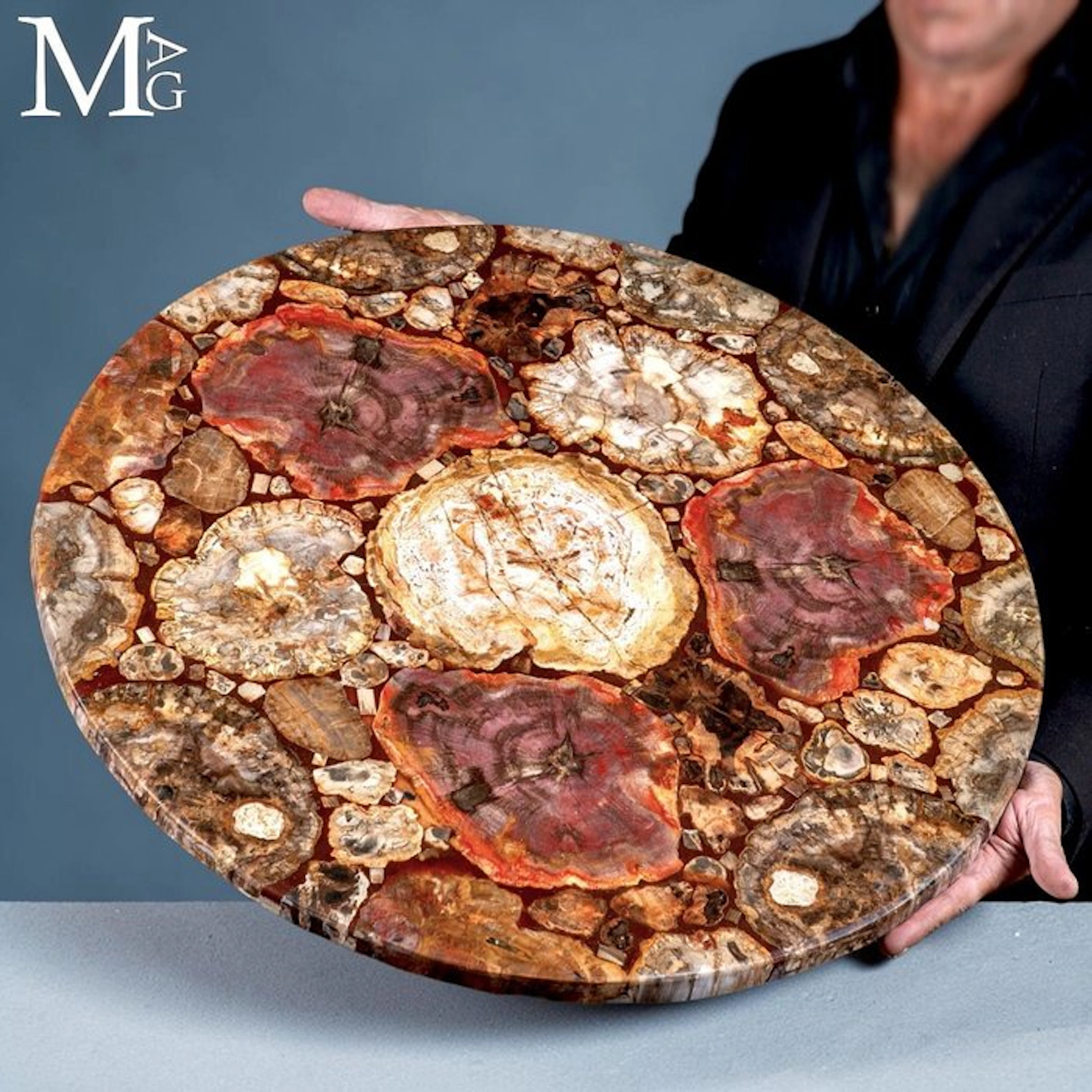 Triassic Petrified Araucaria Wood with Rich Red and...