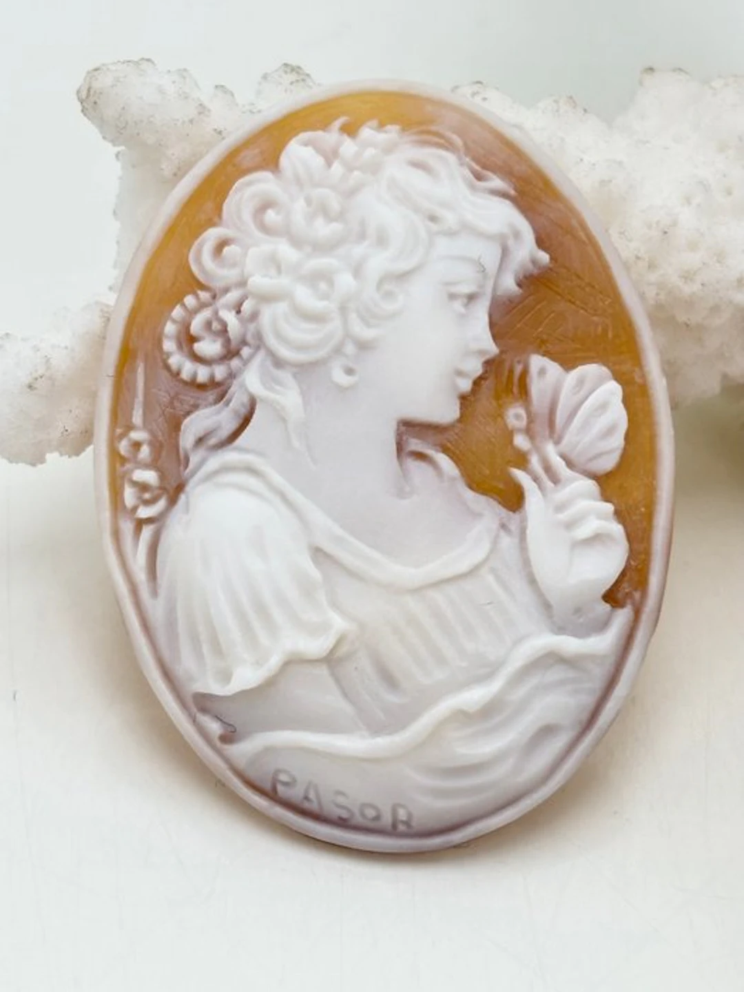 No reserve price CASSIS MADAGASCARIENSIS - Cameo - Hand-carved cameo