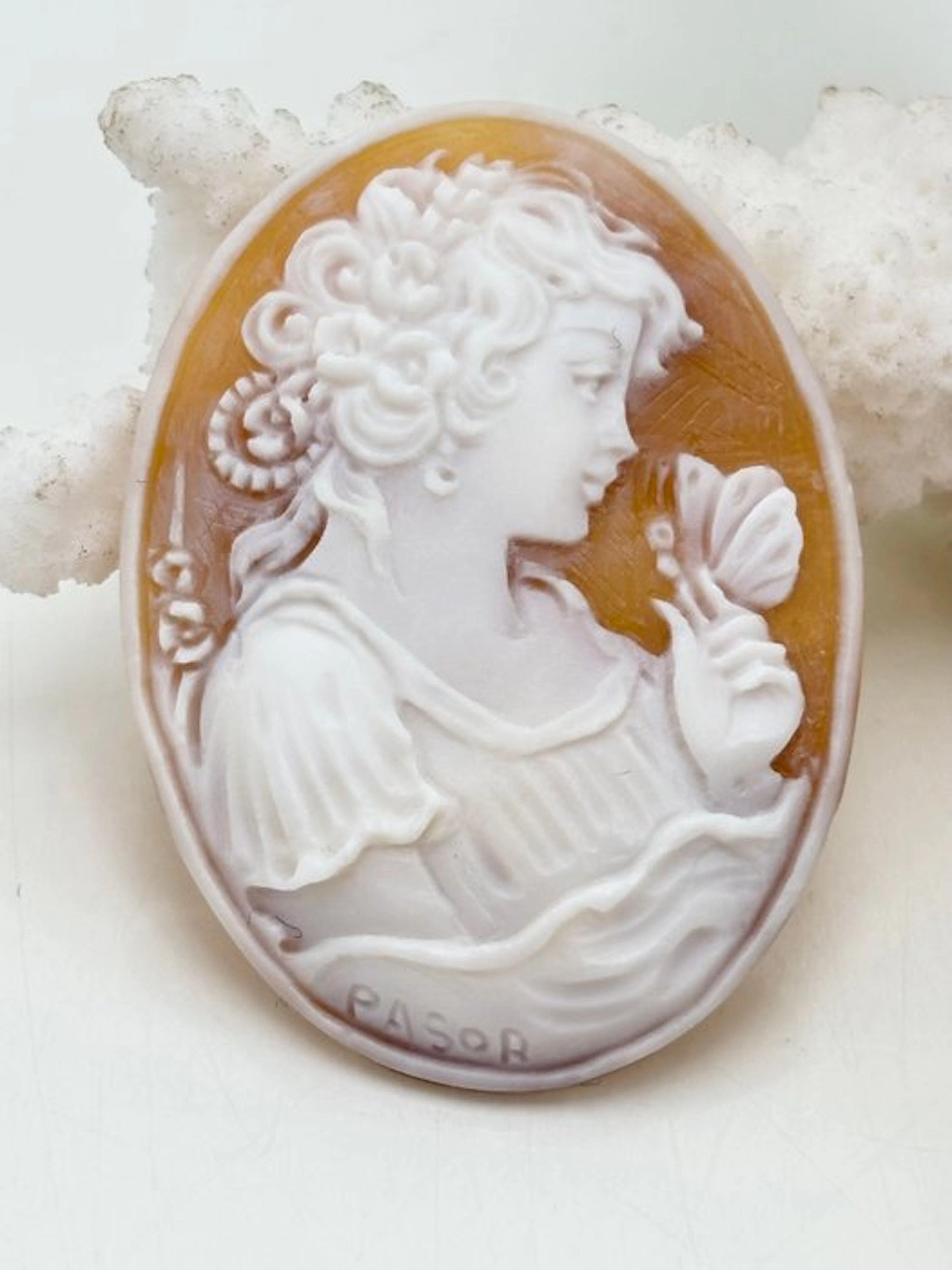 No reserve price CASSIS MADAGASCARIENSIS - Cameo - Hand-carved cameo