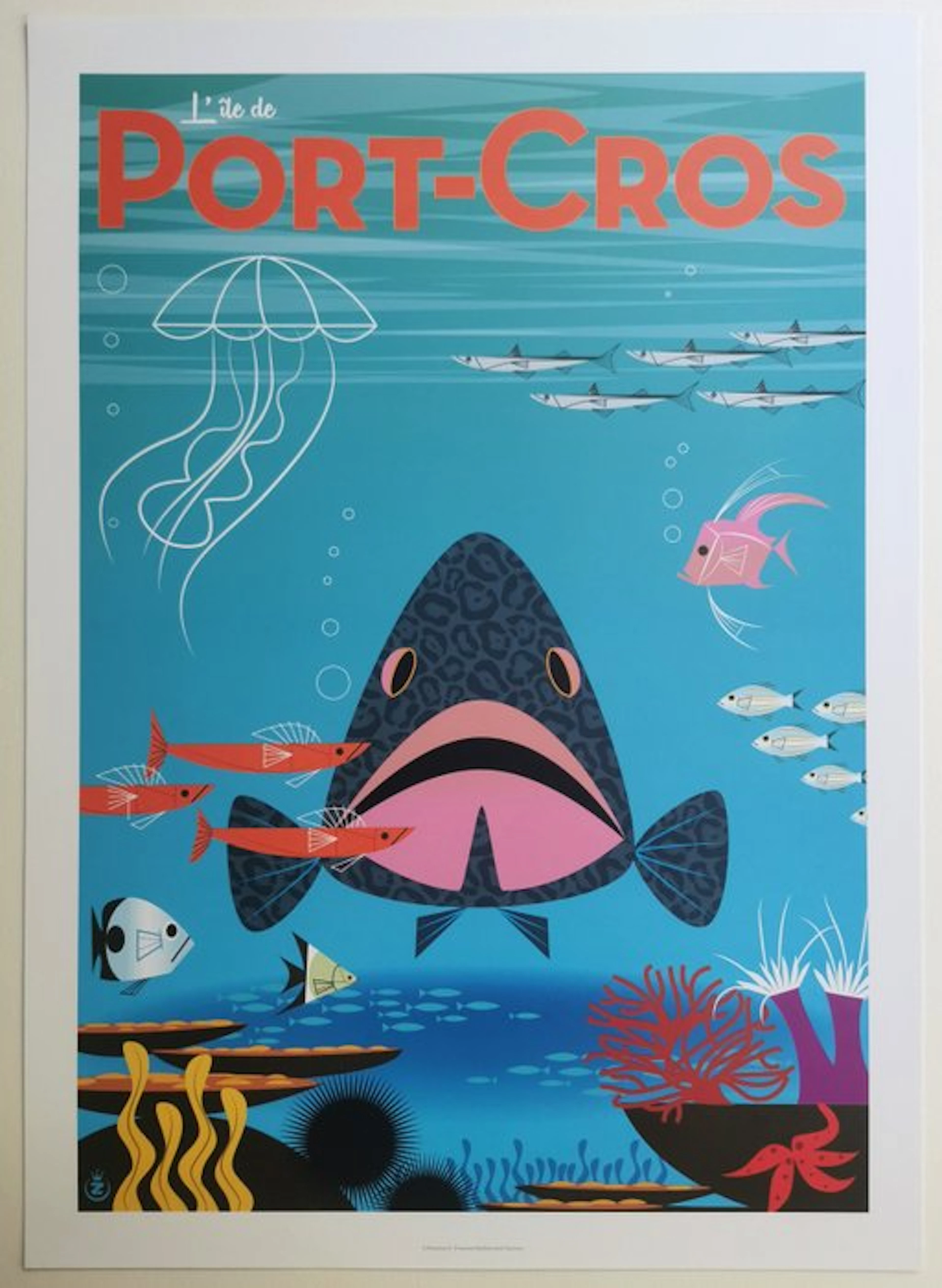 Monsieur Z - Port-Cros - Le Mérou - 2010s