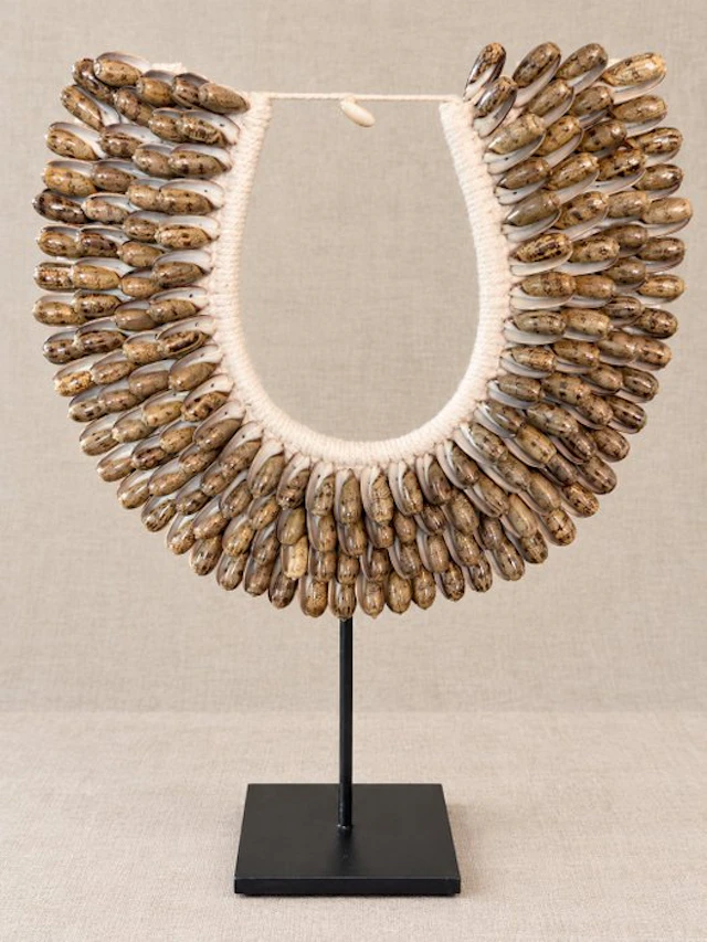 Decorative ornament - Indonesia - Shell : Oliva reticulata