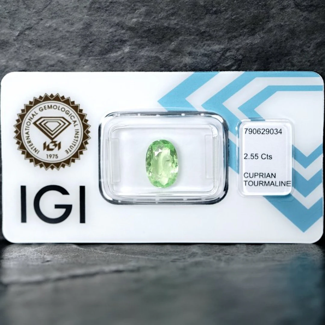 1 pcs Green Tourmaline paraiba - 2.55 ct - International...