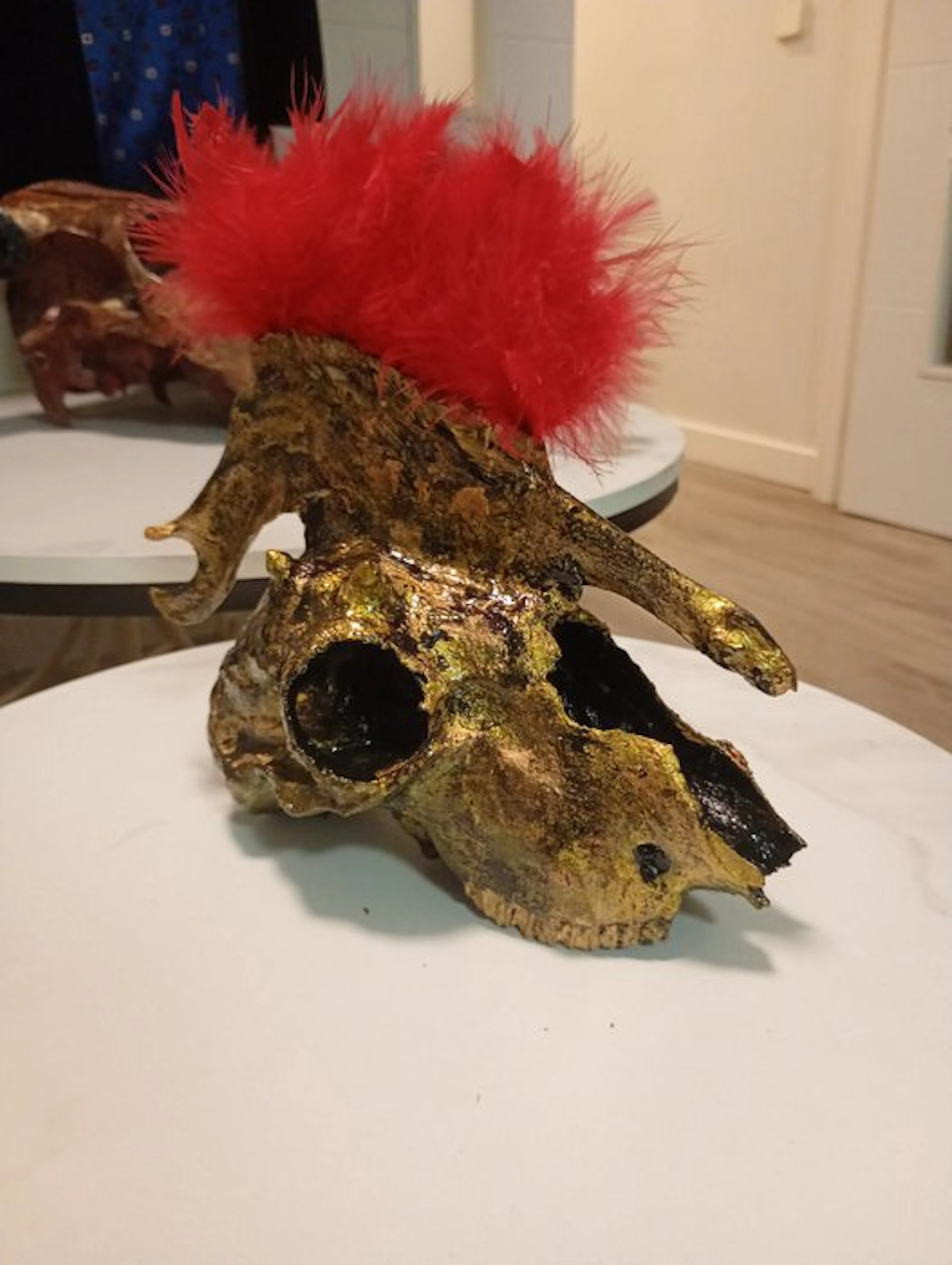 Sheep Mammal skull - Ovis aries - 30 cm - 15 cm - 30 cm - (1)