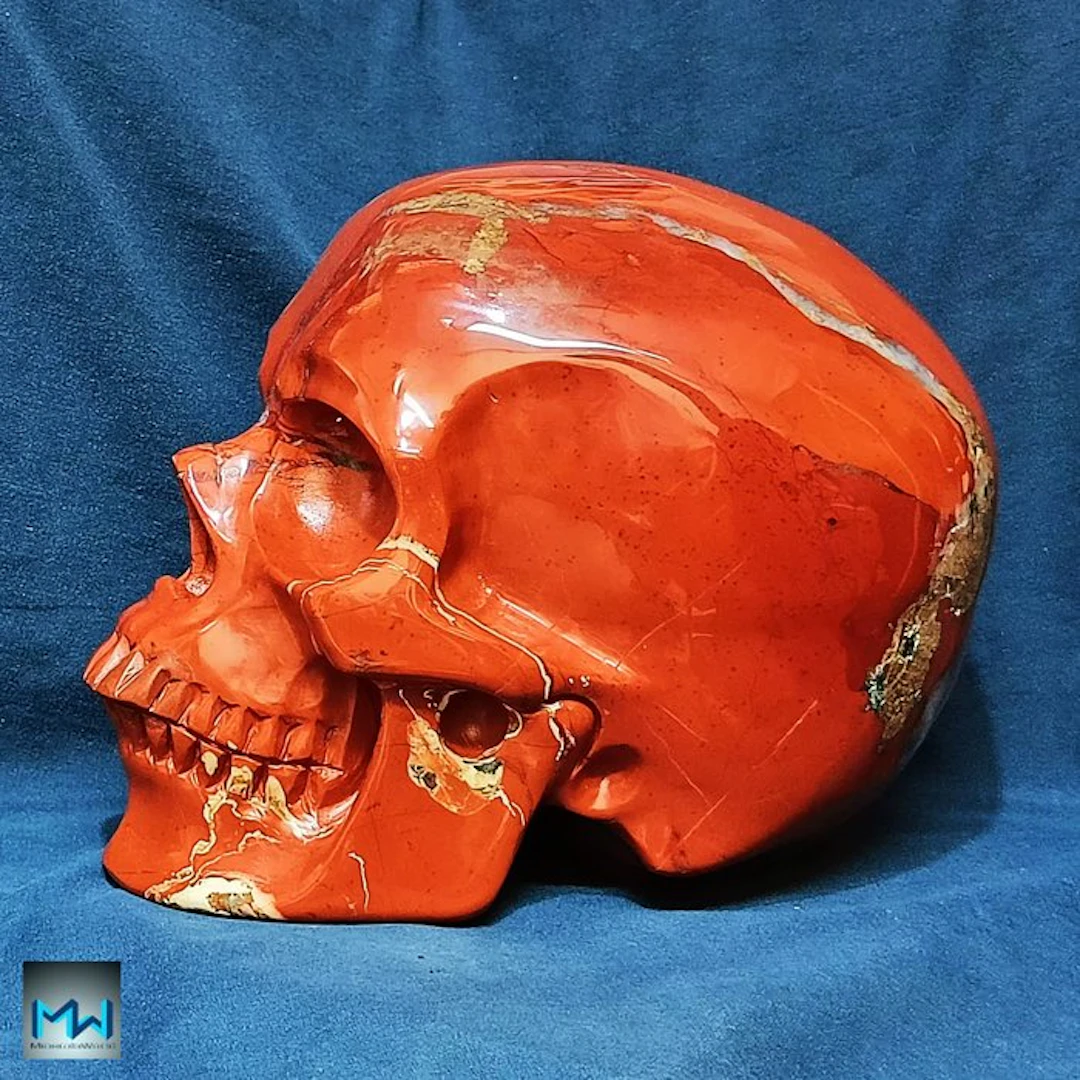 Incomparable 8-inch Human Skull