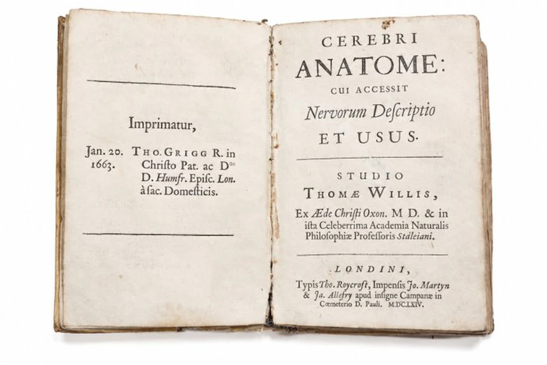 Willis - Cerebri Anatome - 1664