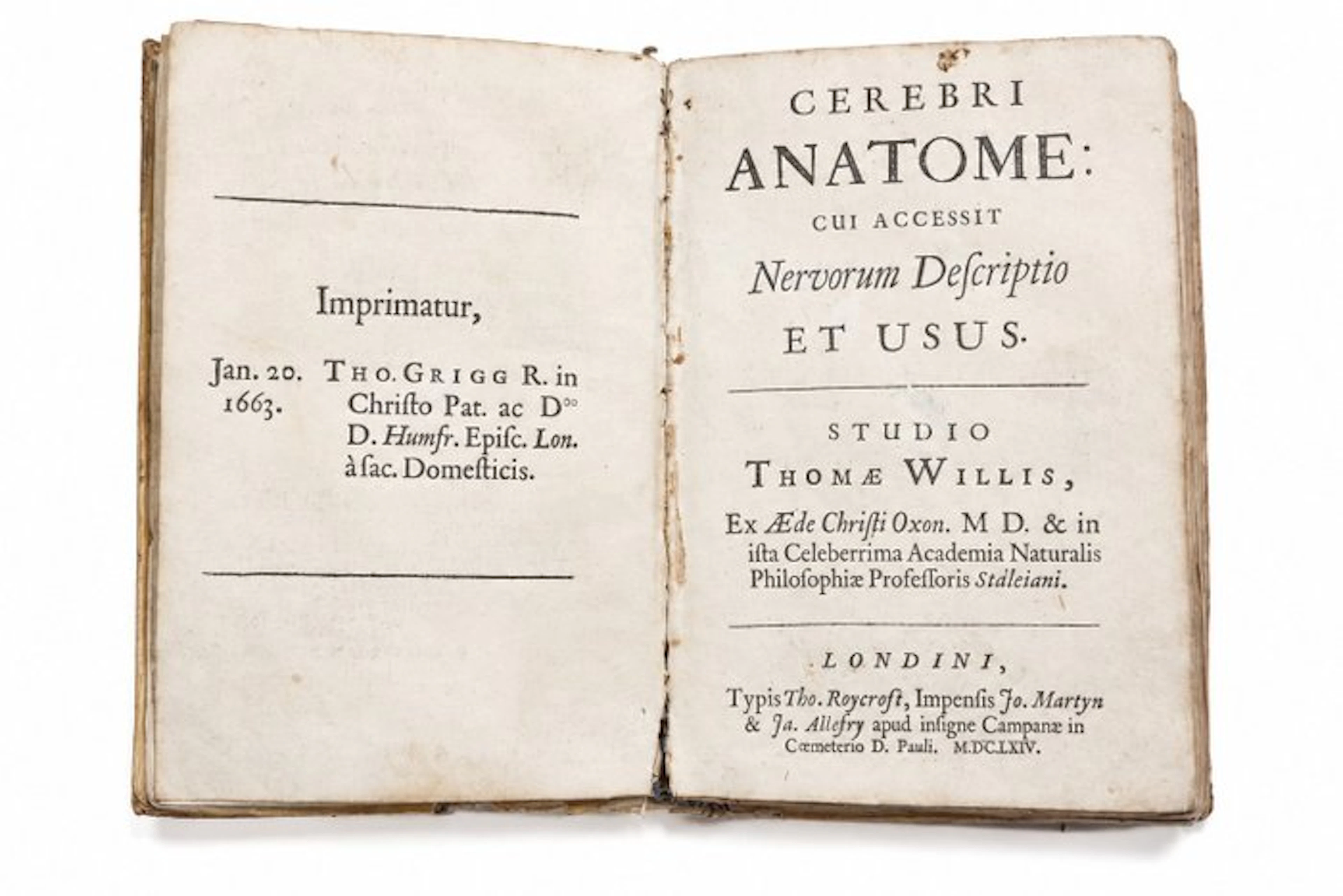 Willis - Cerebri Anatome - 1664