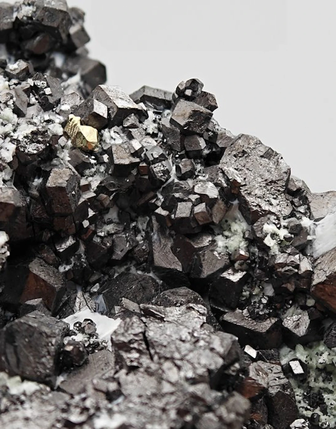 ALPINO, BLACK MAGNETITE AESTHETIC with GOLDEN PYRITE and CRYSTALLIZED TALC